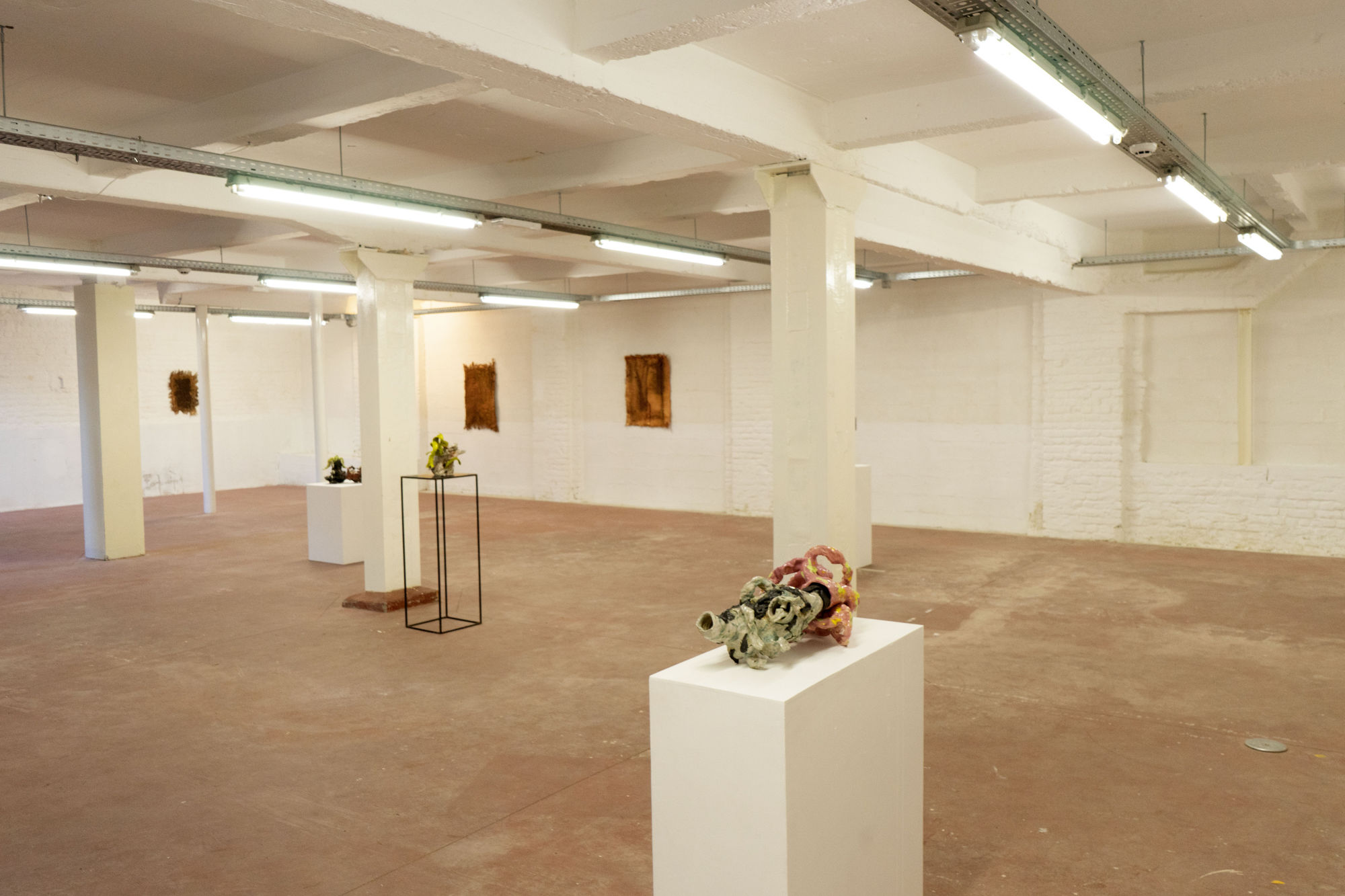 photography Flavia Antoniazzi, © MONTORO12 Gallery