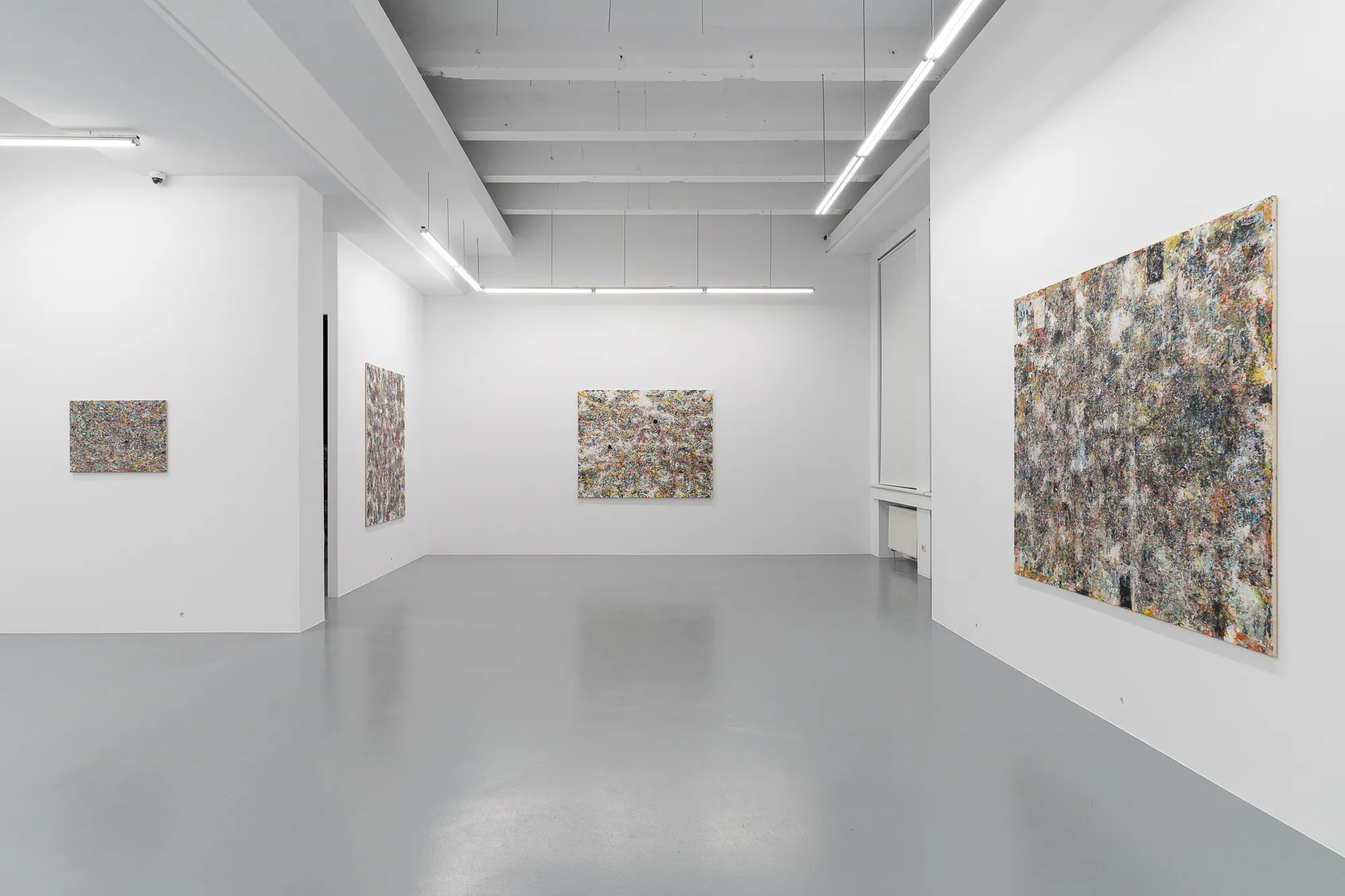 ANCA MUREȘAN: PAINTING UNBOUND