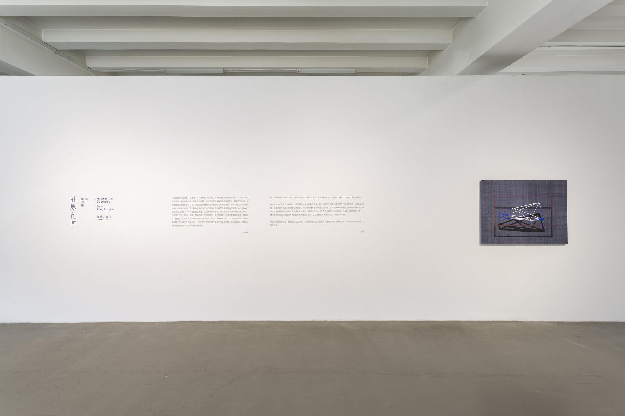 抽象與幾何—蘇藝、唐明偉雙個展