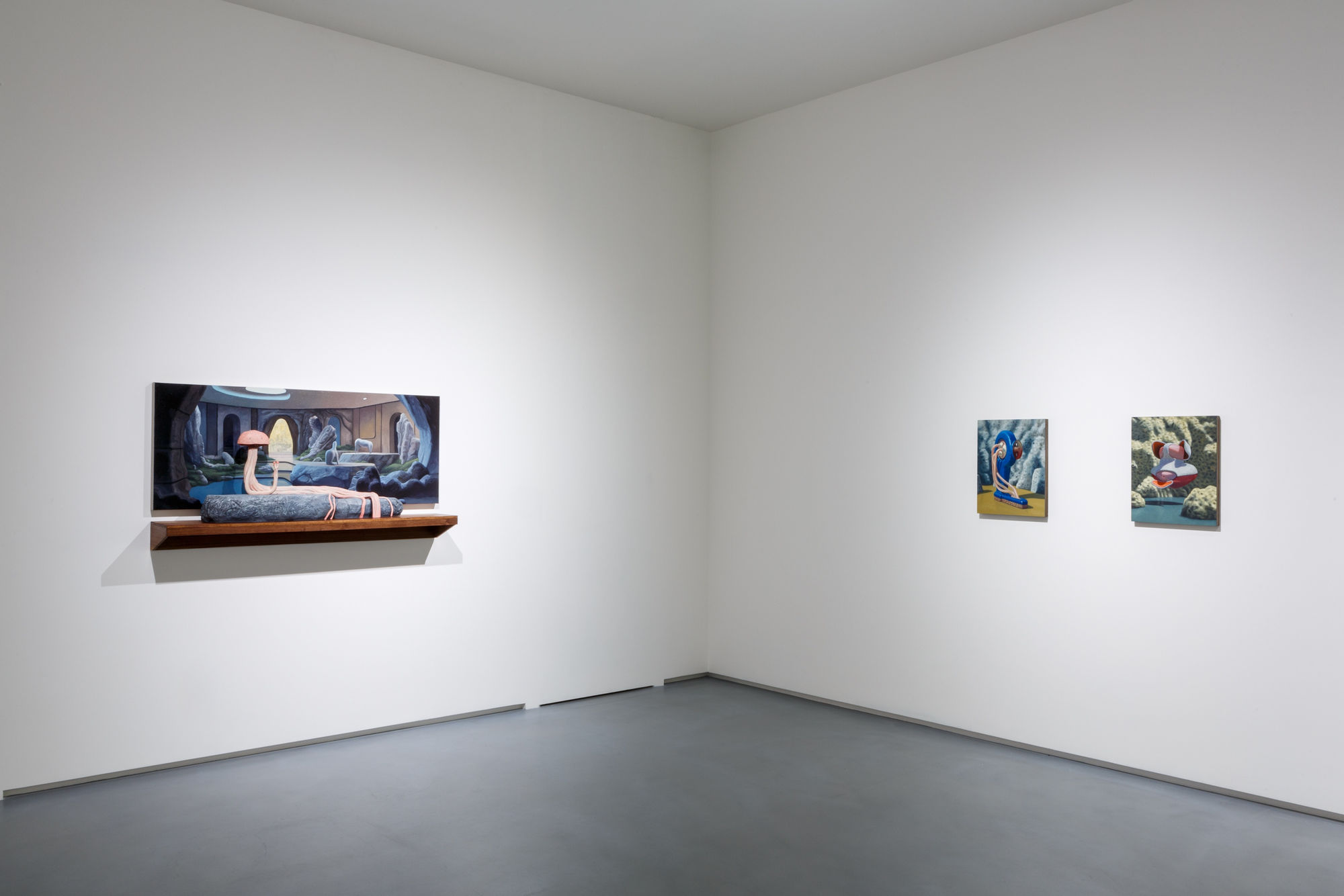 Jeremy Olson: zoognosis