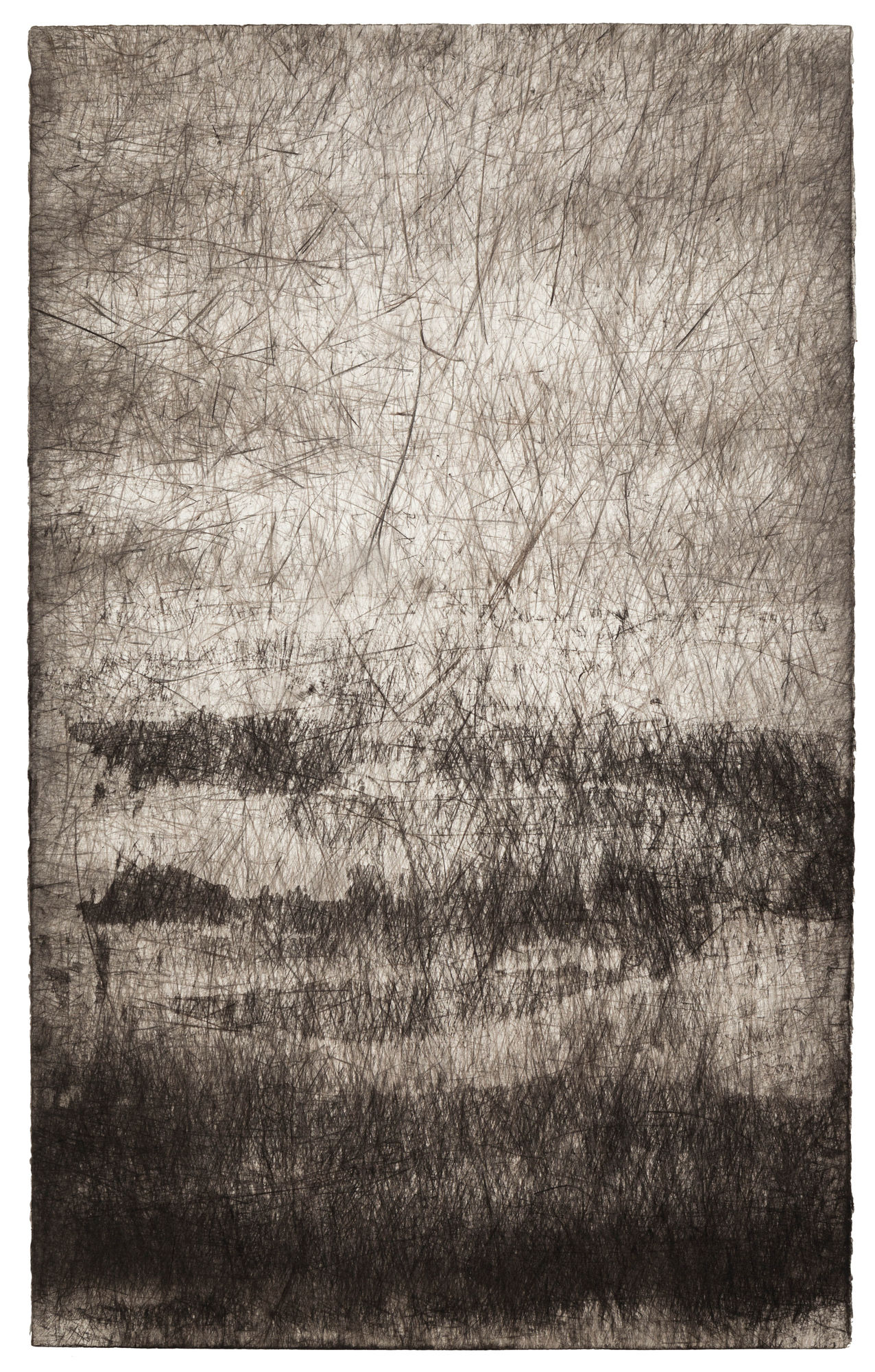 Erin Wiersma Transect 169 FB (Draw) 11-14-2017, 2017 Kohle auf Papier 213,4 x 132,1 cm