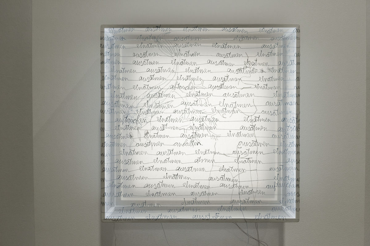 Transparenzen • Sheila Furlan