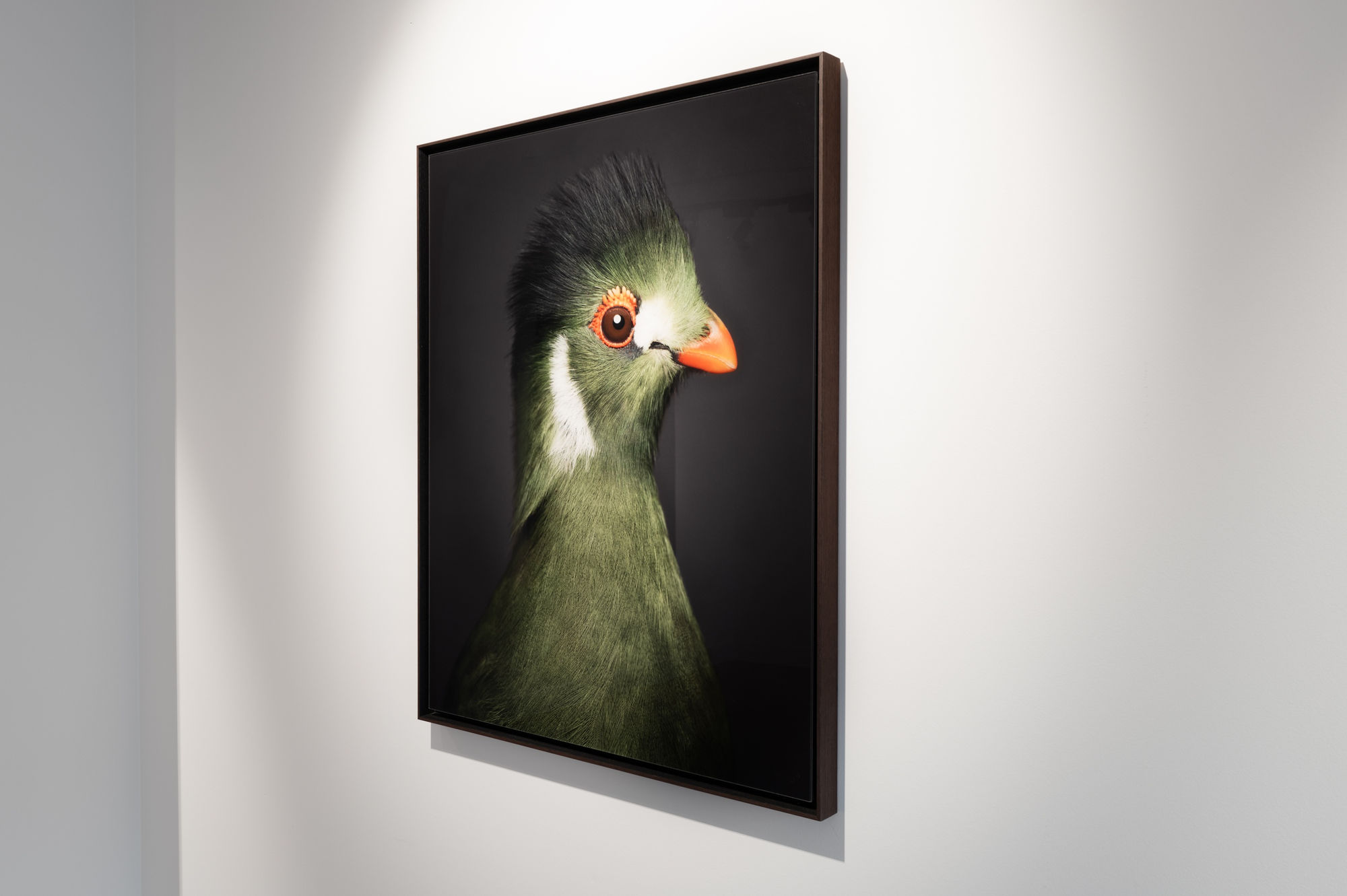 Book exhibition - Between Us