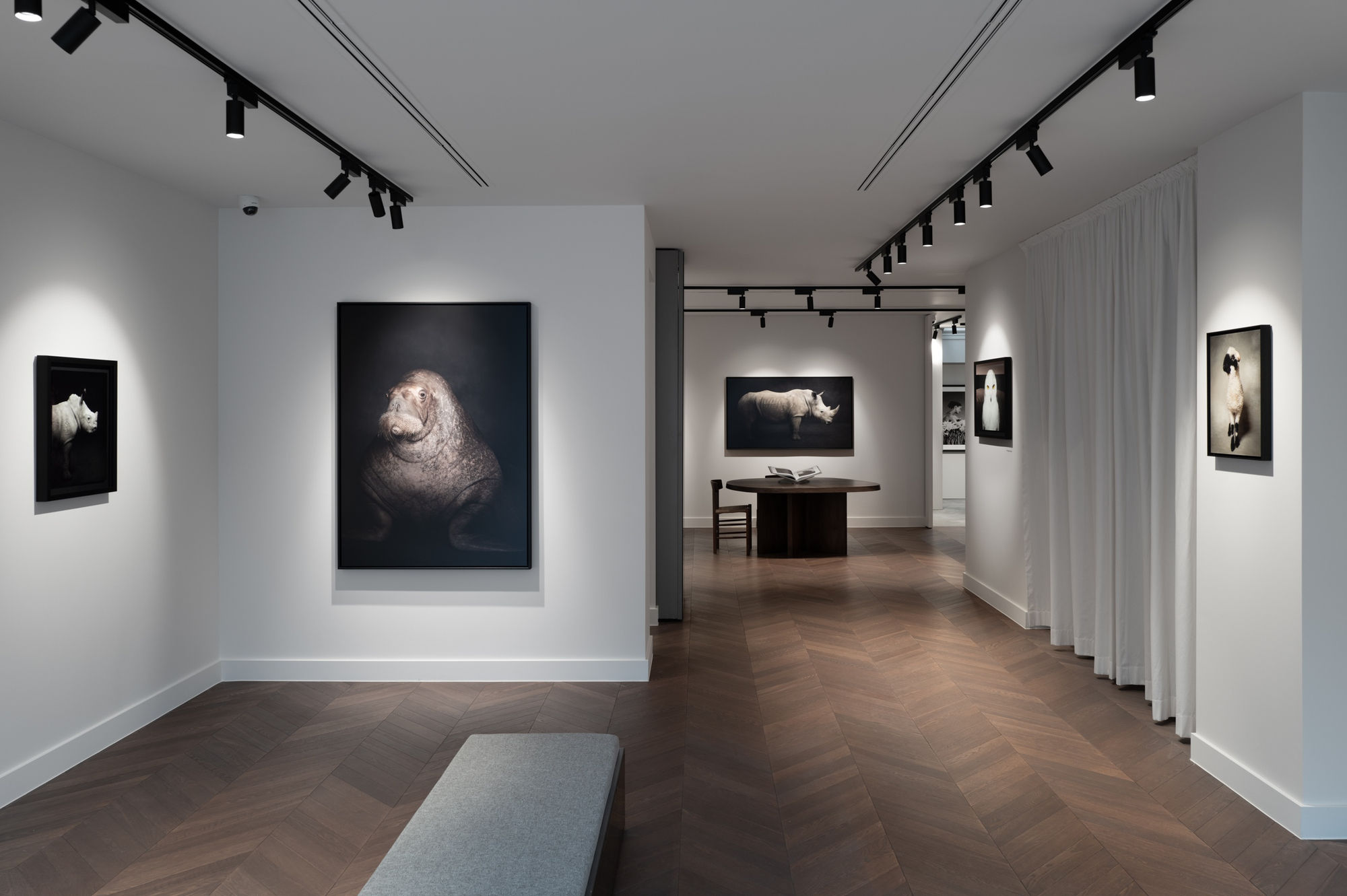 Book exhibition - Between Us