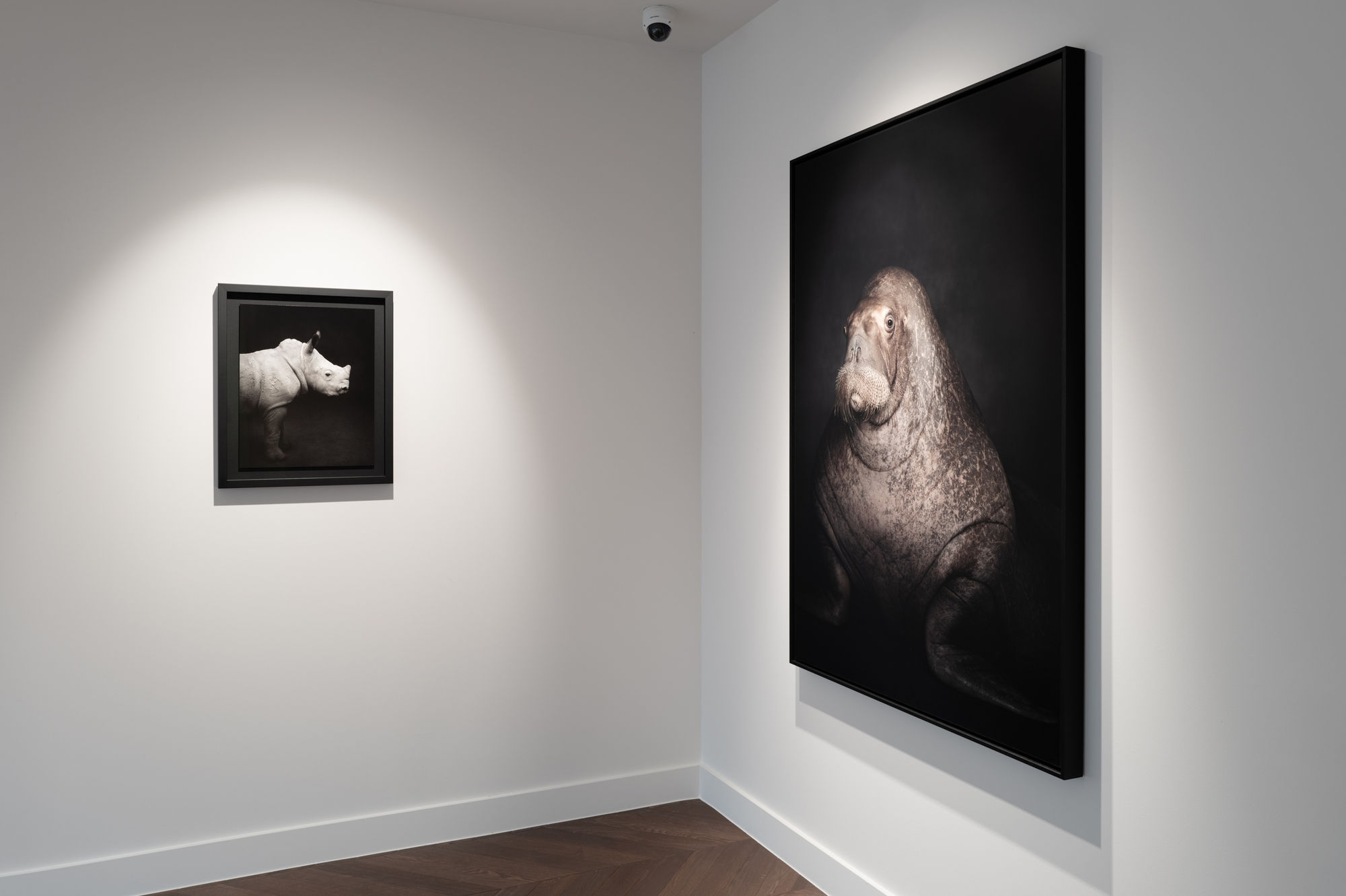 Book exhibition - Between Us