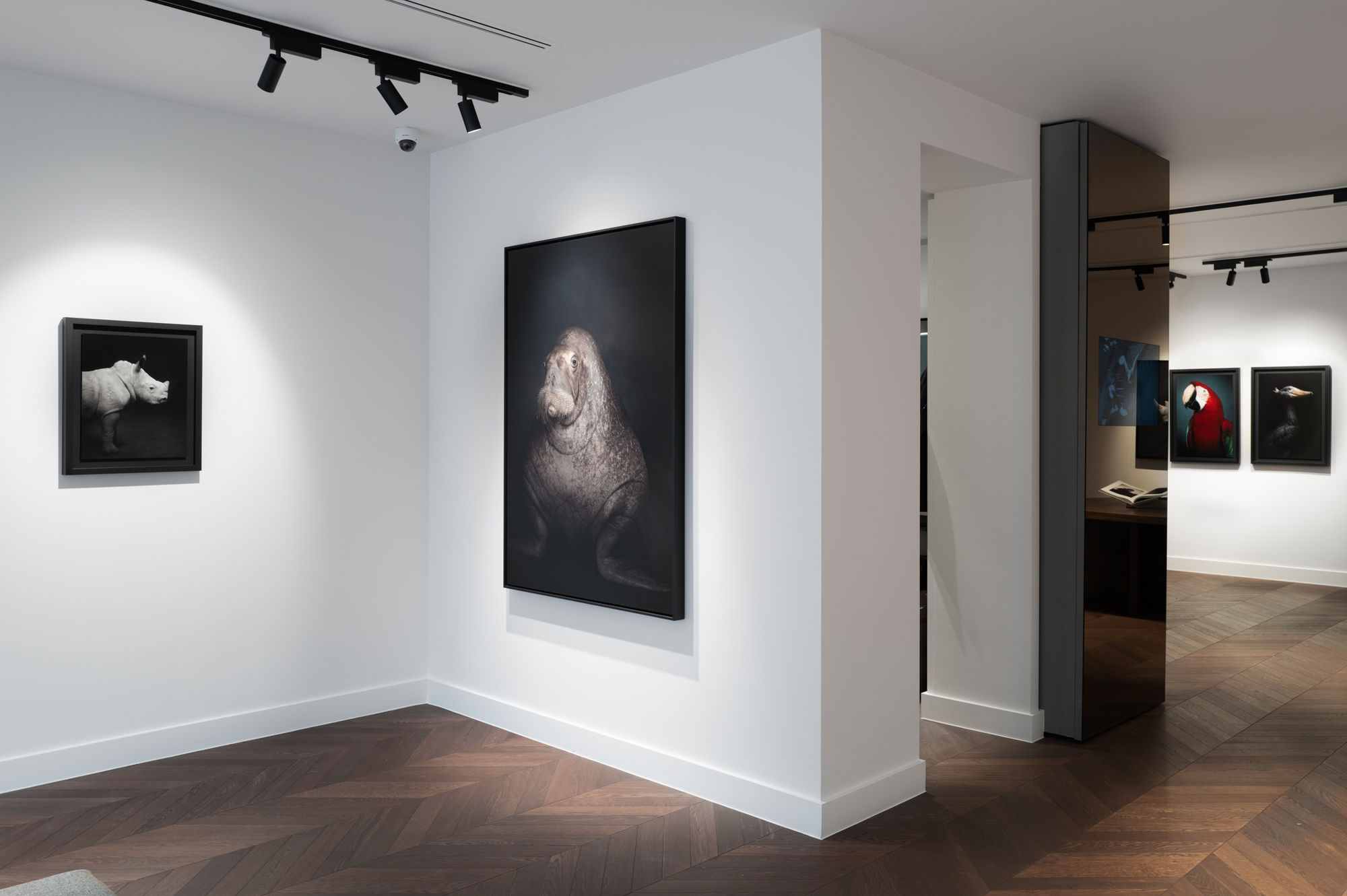 Book exhibition - Between Us