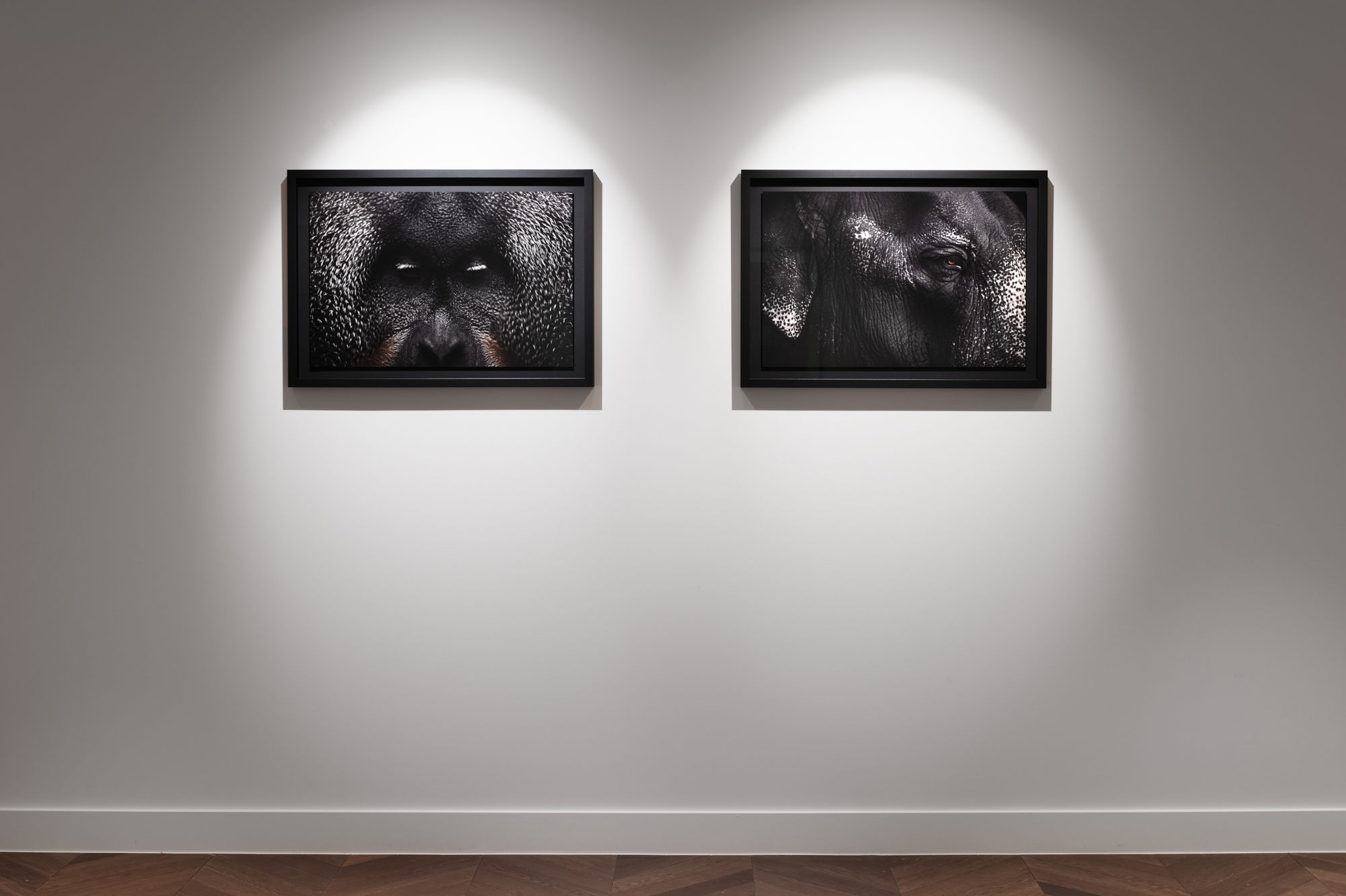 Book exhibition - Between Us