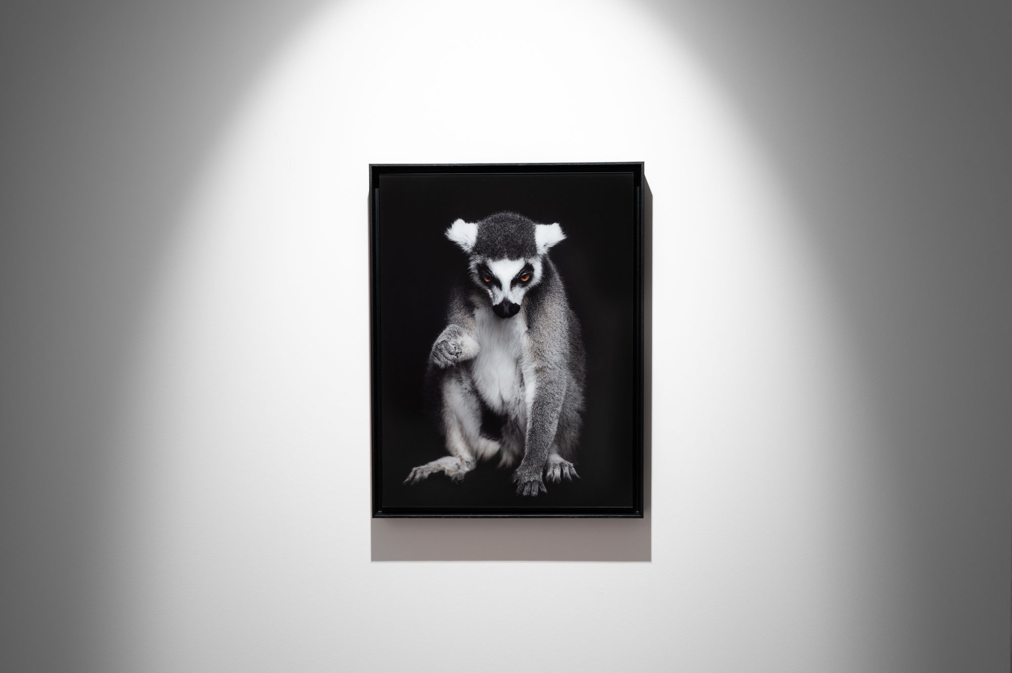 Book exhibition - Between Us