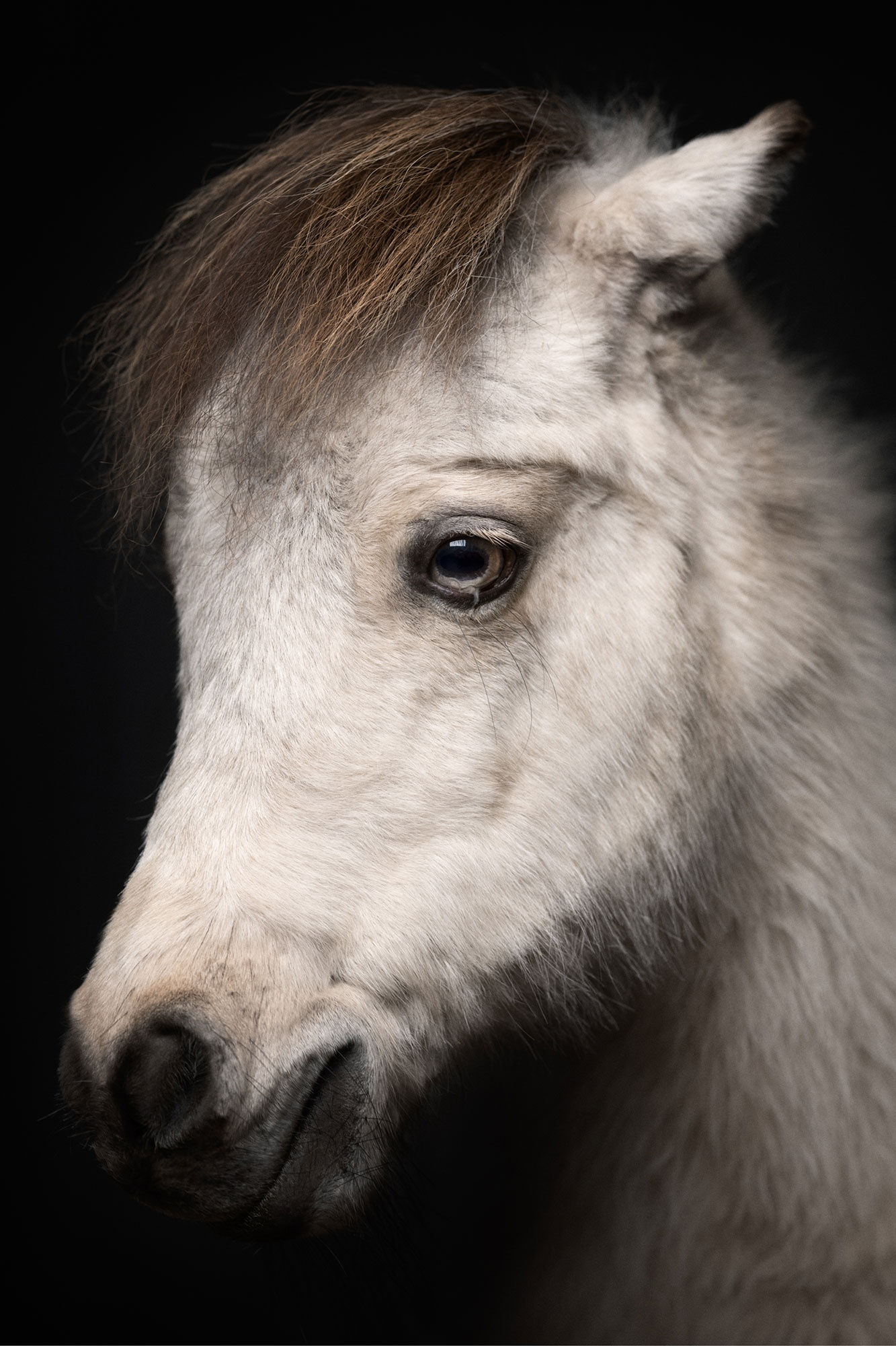 BETWEEN US: VINCENT LAGRANGE