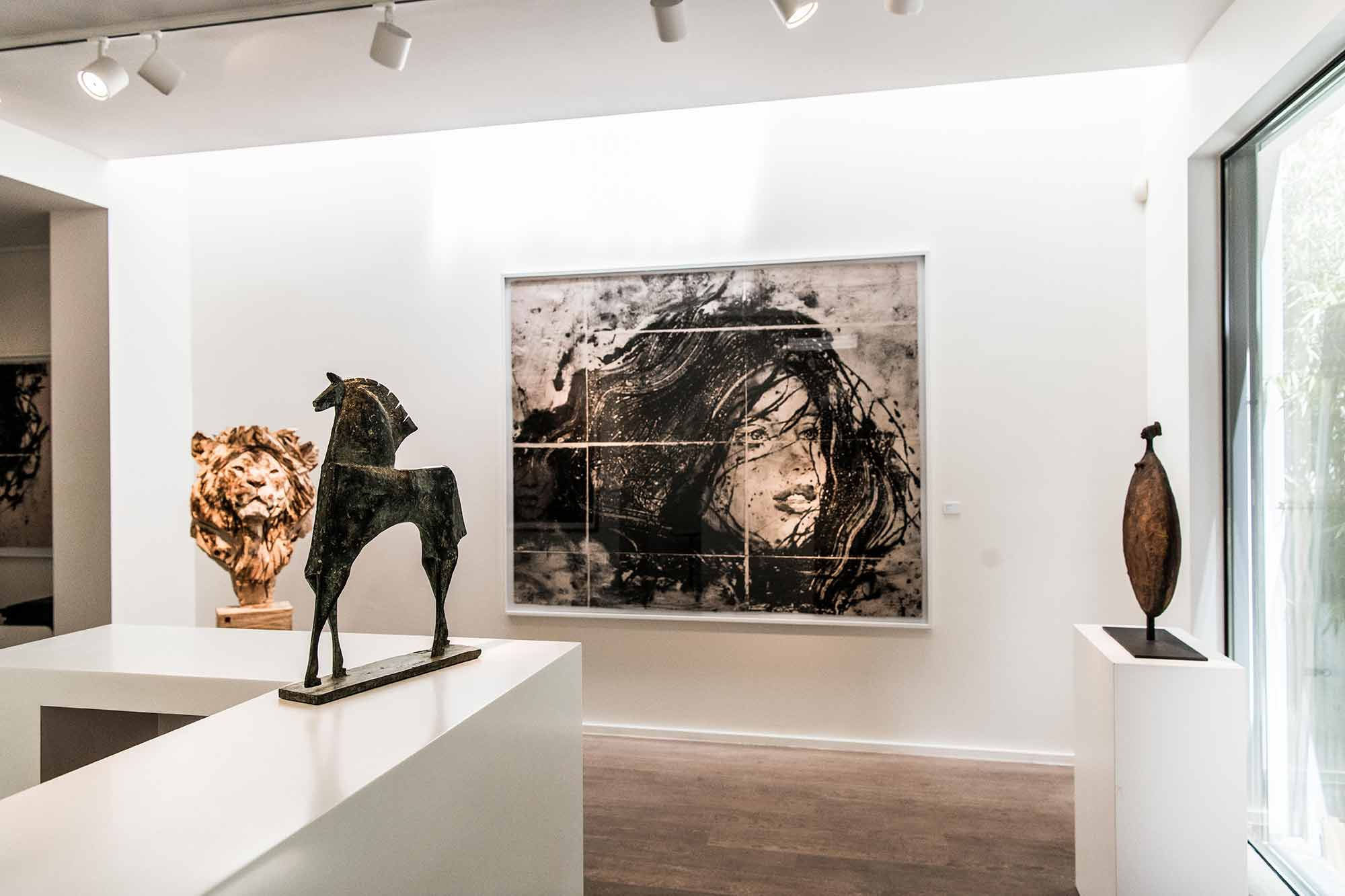 LÍDIA MASLLORENS: ROSTRES / FACES