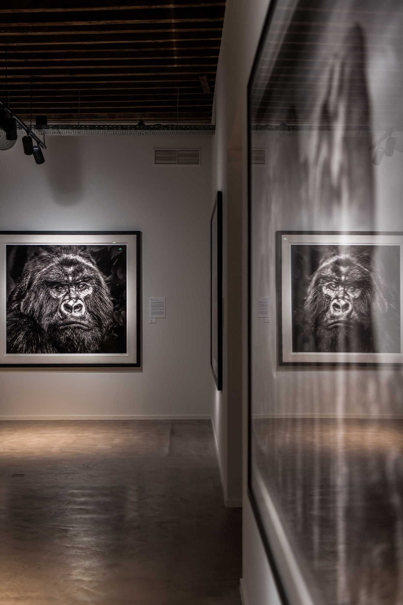 DAVID YARROW - THE WAREHOUSE GALLERY