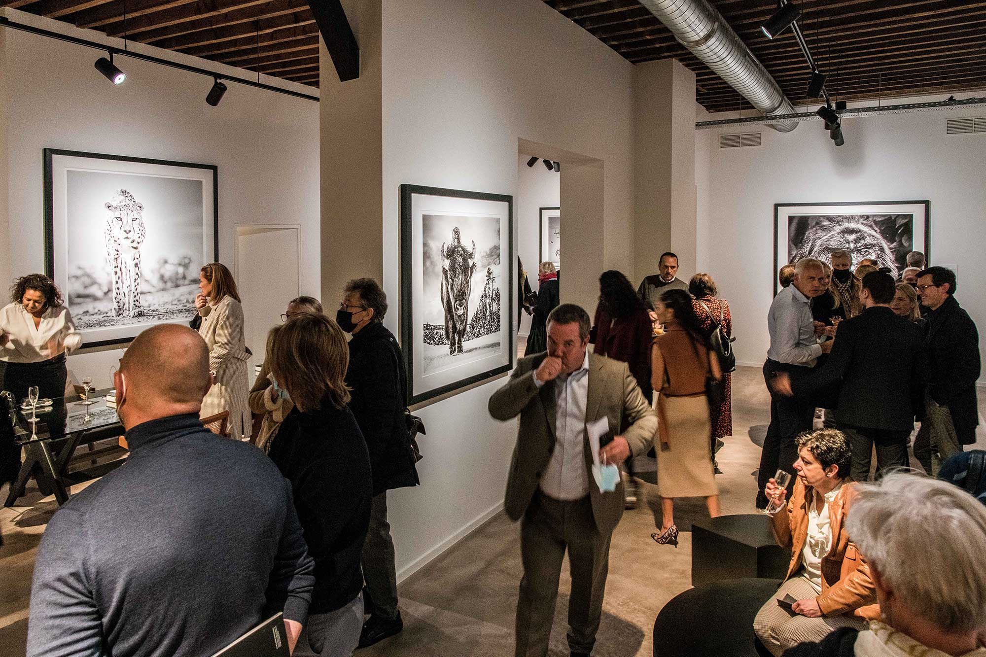 DAVID YARROW - THE WAREHOUSE GALLERY