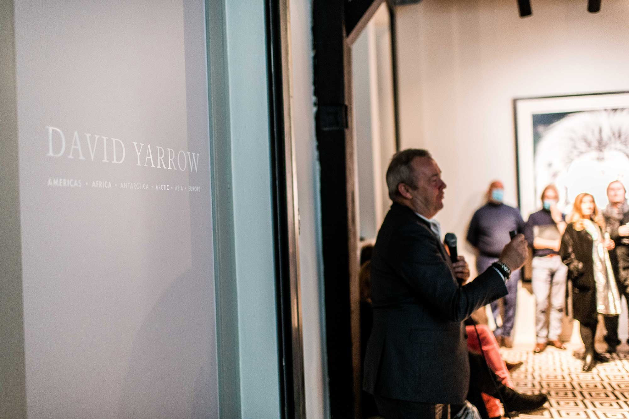 DAVID YARROW - THE WAREHOUSE GALLERY