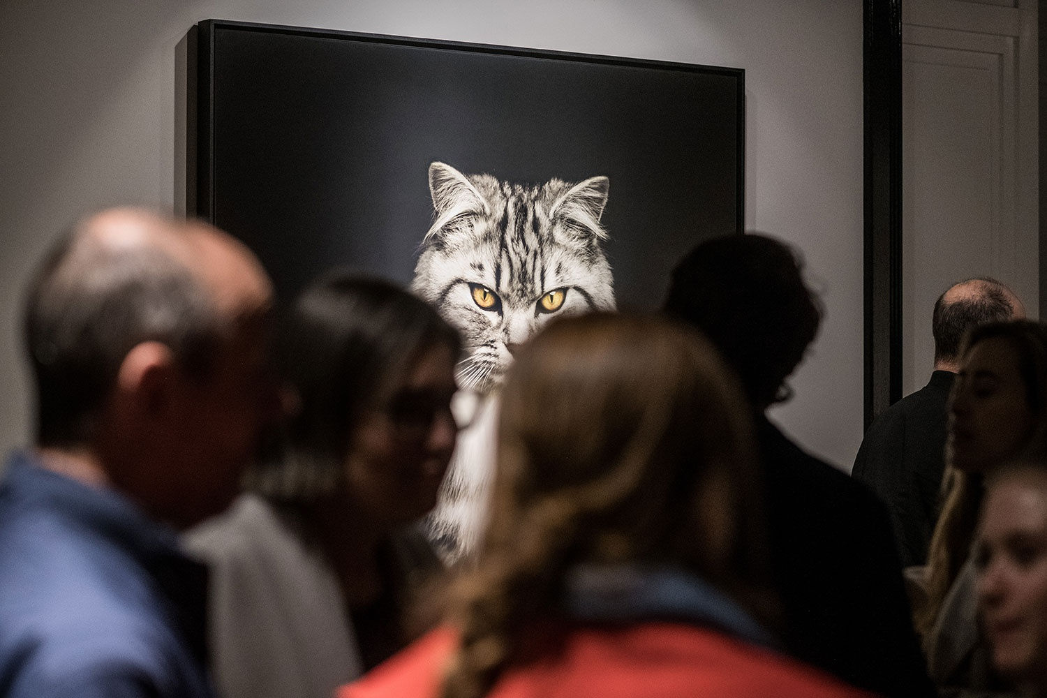 VINCENT LAGRANGE: THE HUMAN ANIMALS