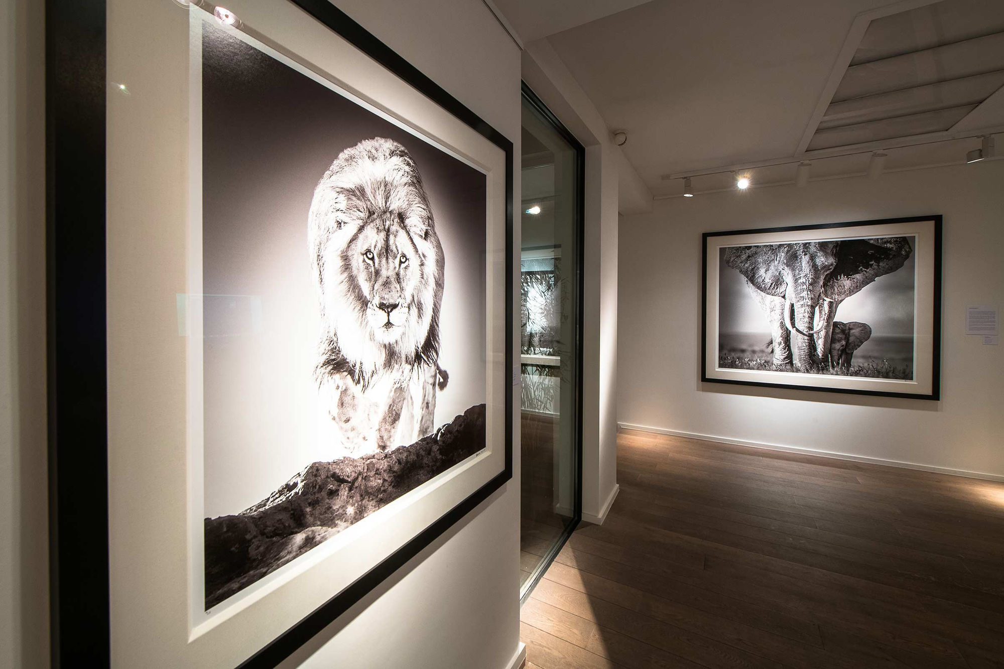 DAVID YARROW: IT'S FIVE O'CLOCK SOMEWHERE