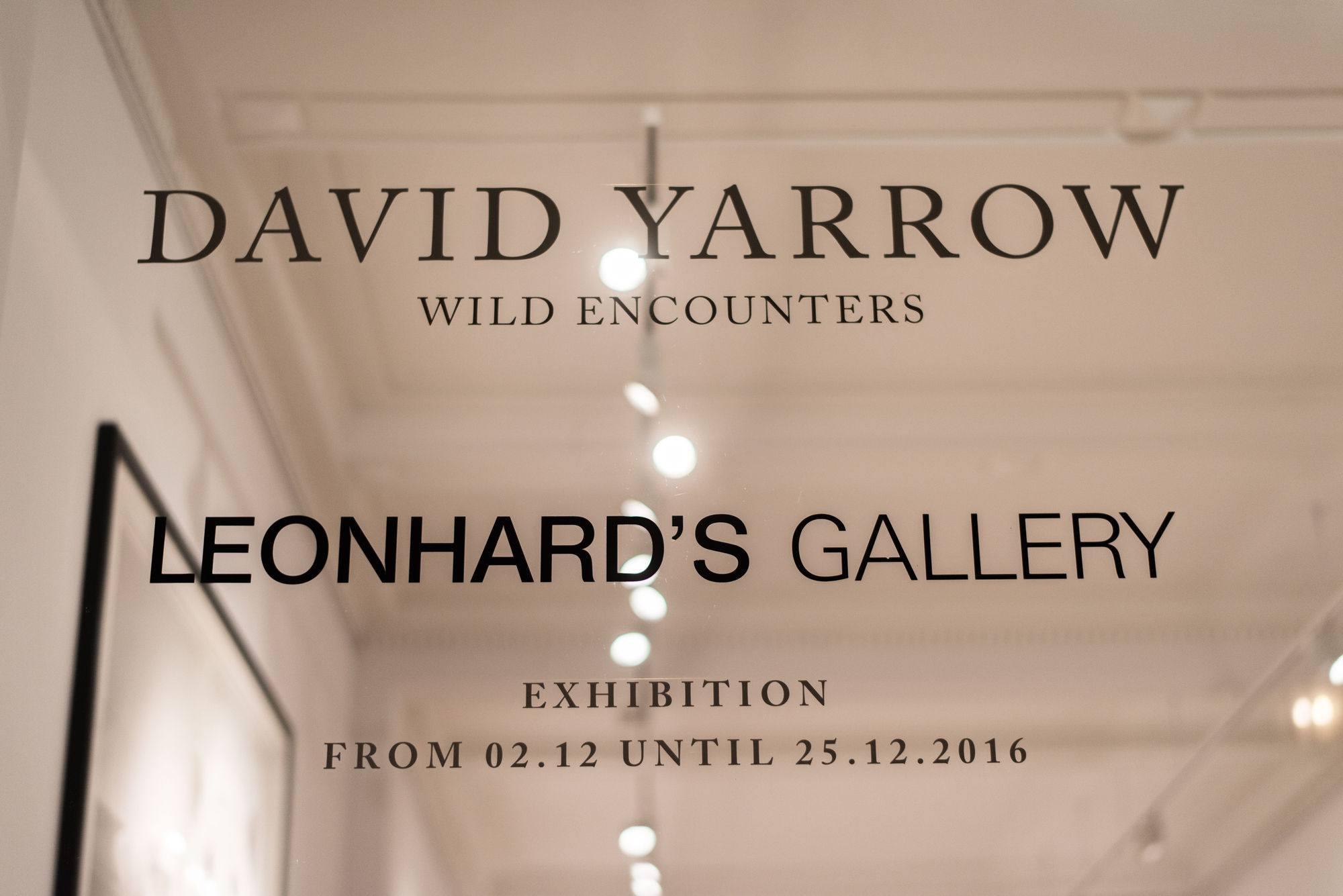 DAVID YARROW: WILD ENCOUNTERS