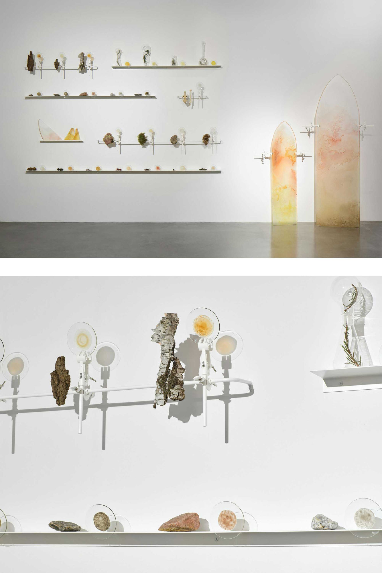 Pyhästä lehdosta vuodatettu väri (Colour Shed from the Holy Grove)