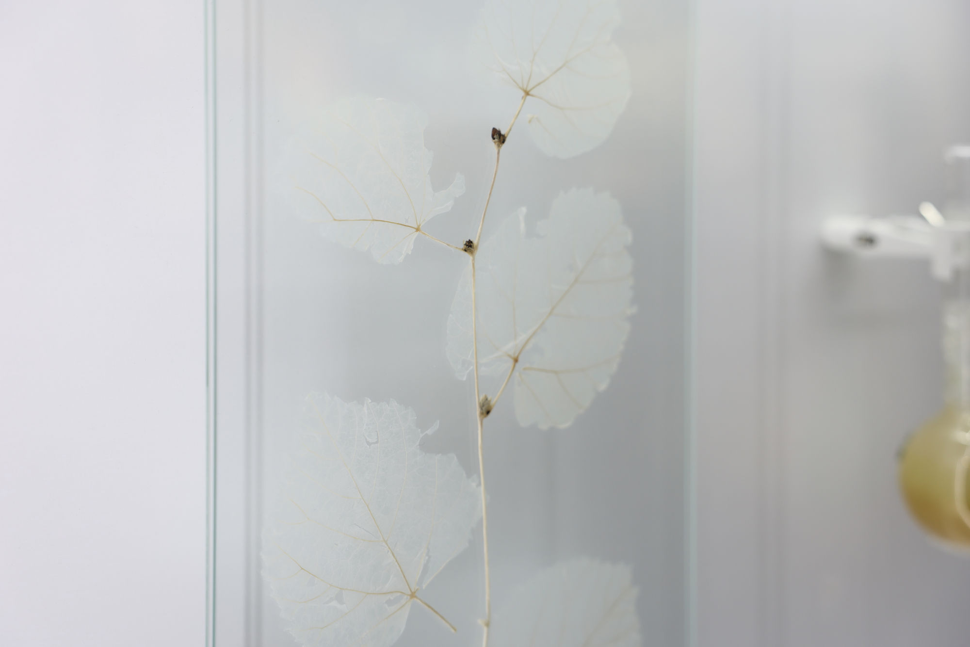 The Heavenly Wooded Area