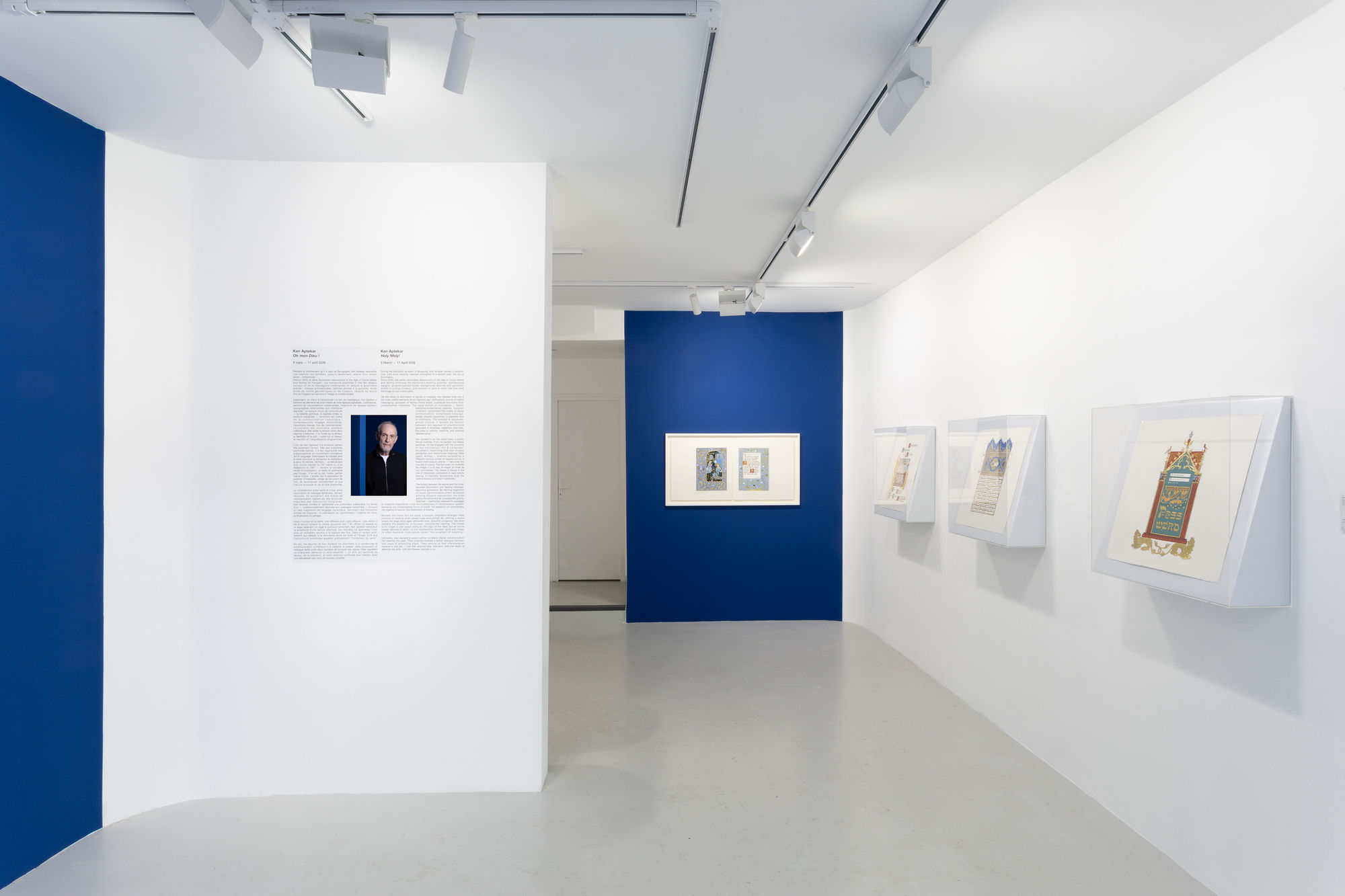 Ken Aptekar: Holy Moly!