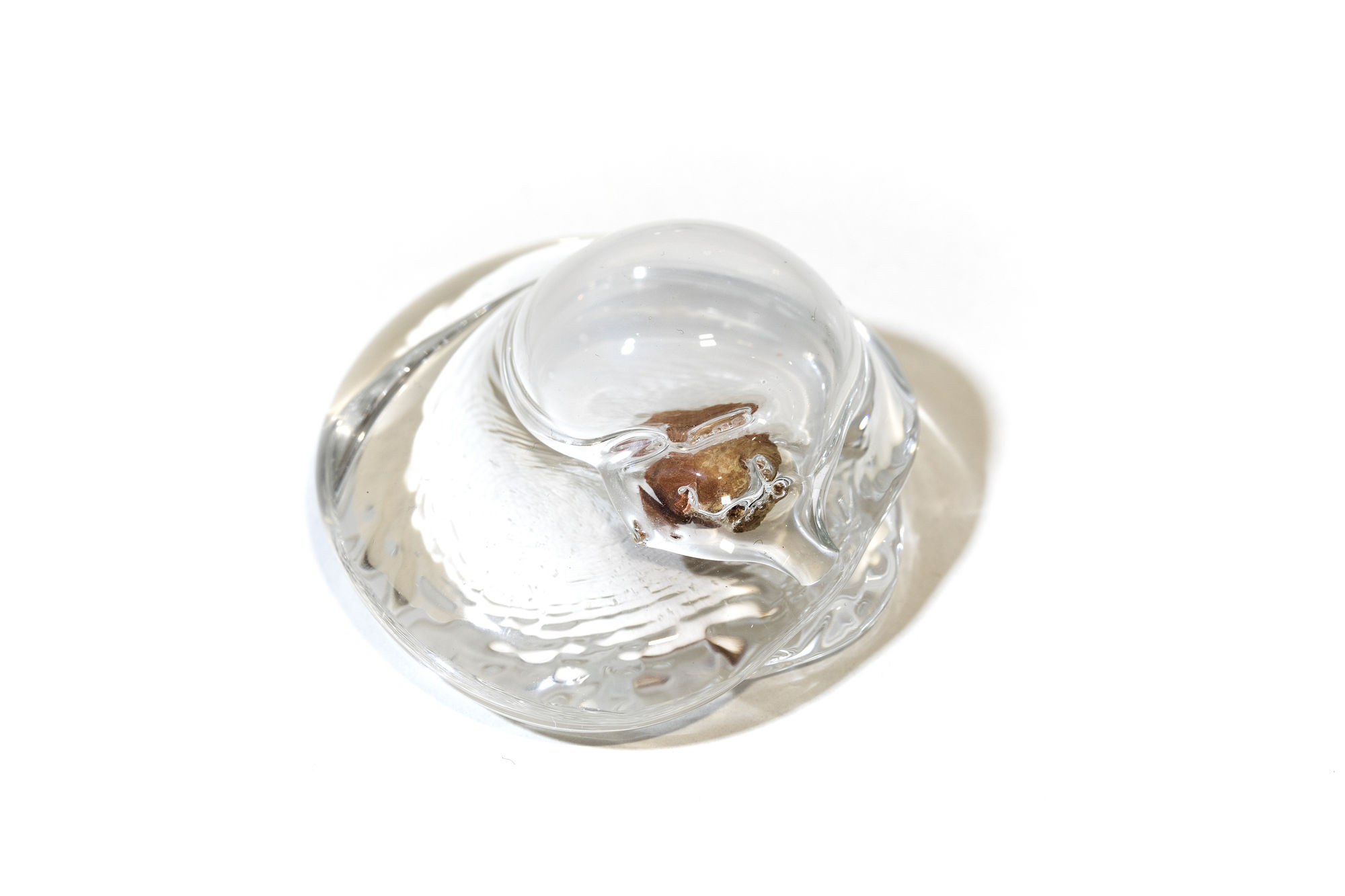 1900-2025: breath of light