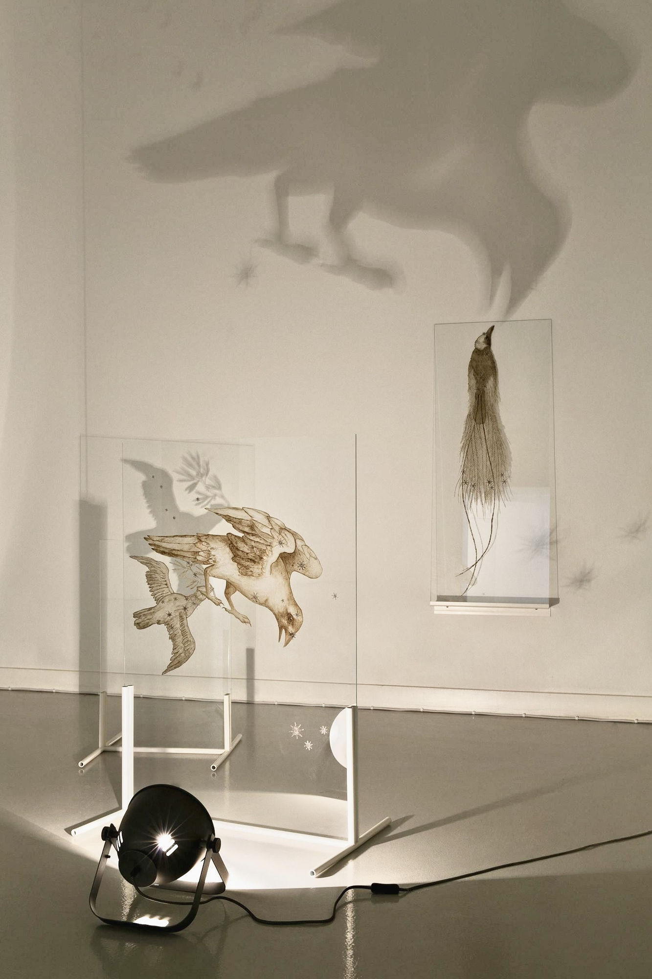 We Are All Made of Stardust (Apus)