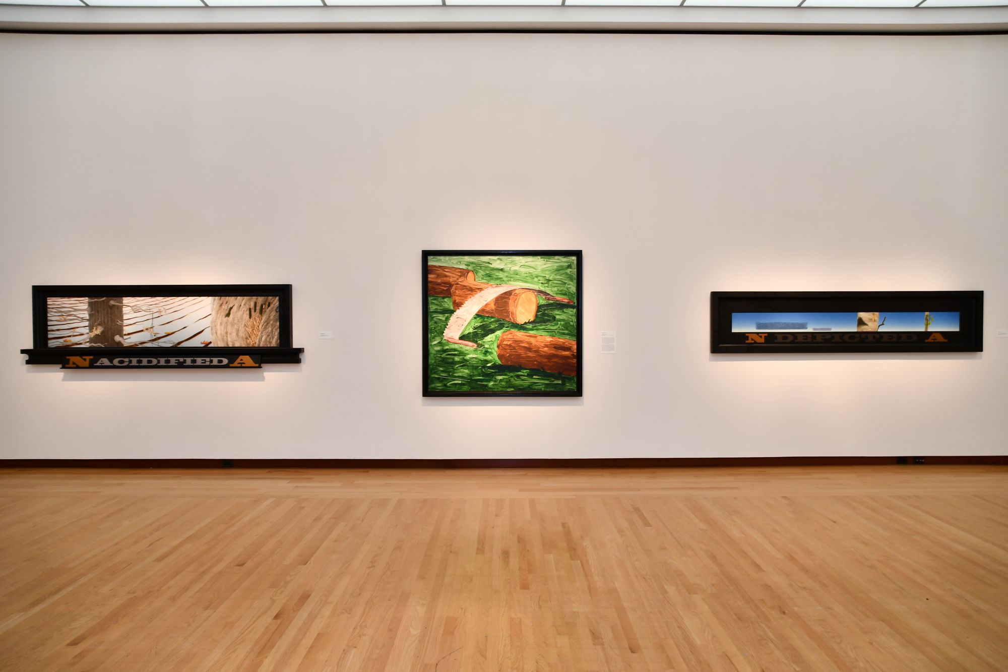 Neil Jenney: American Realist