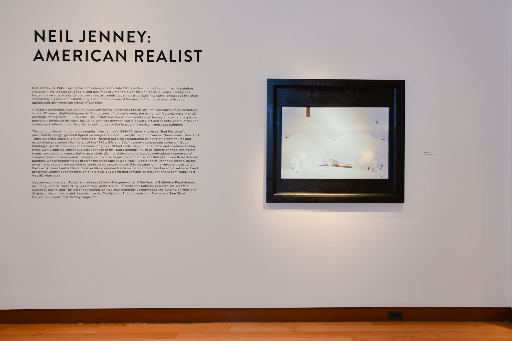 Neil Jenney: American Realist