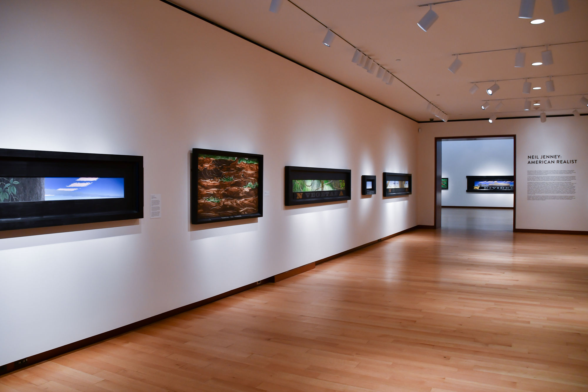 Neil Jenney: American Realist