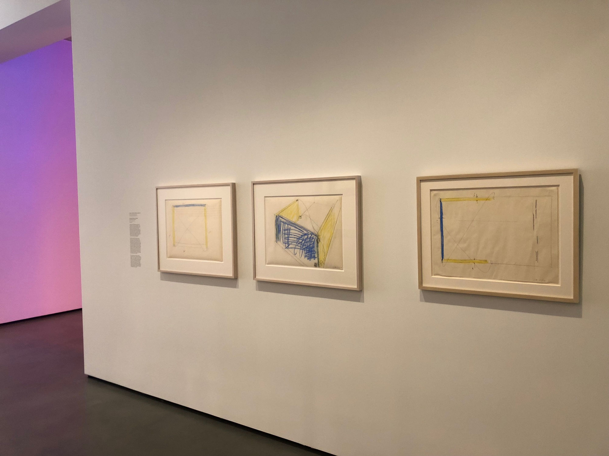 Bruce Nauman: Blue and Yellow Corridor