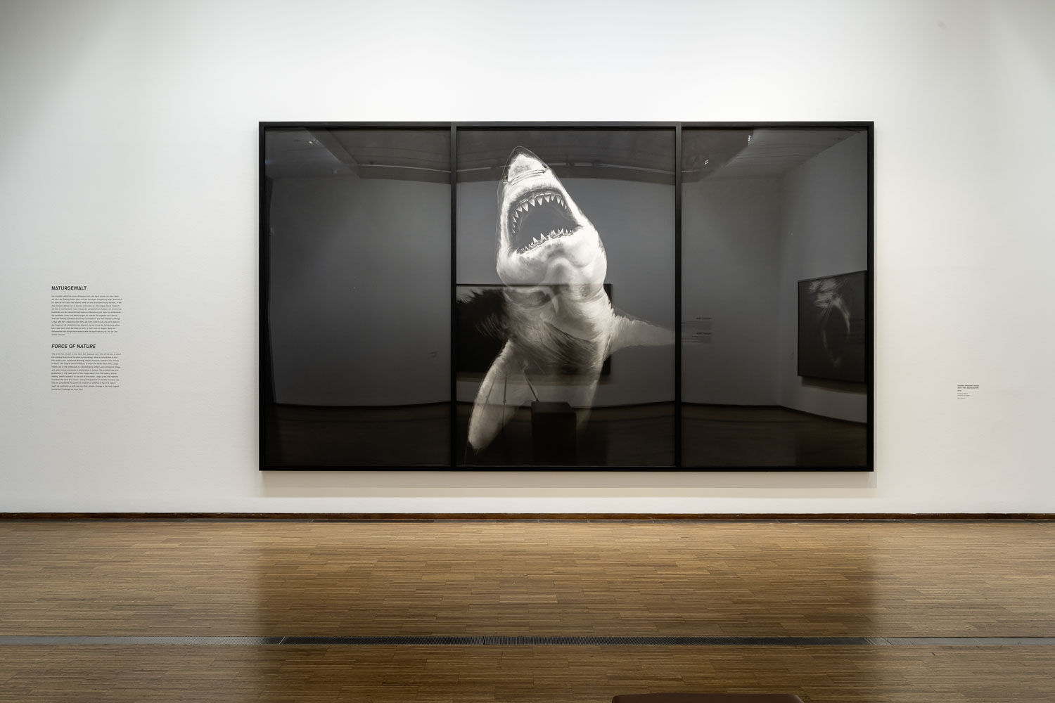 © ALBERTINA, Vienna. Photo: Ana Paula Franco