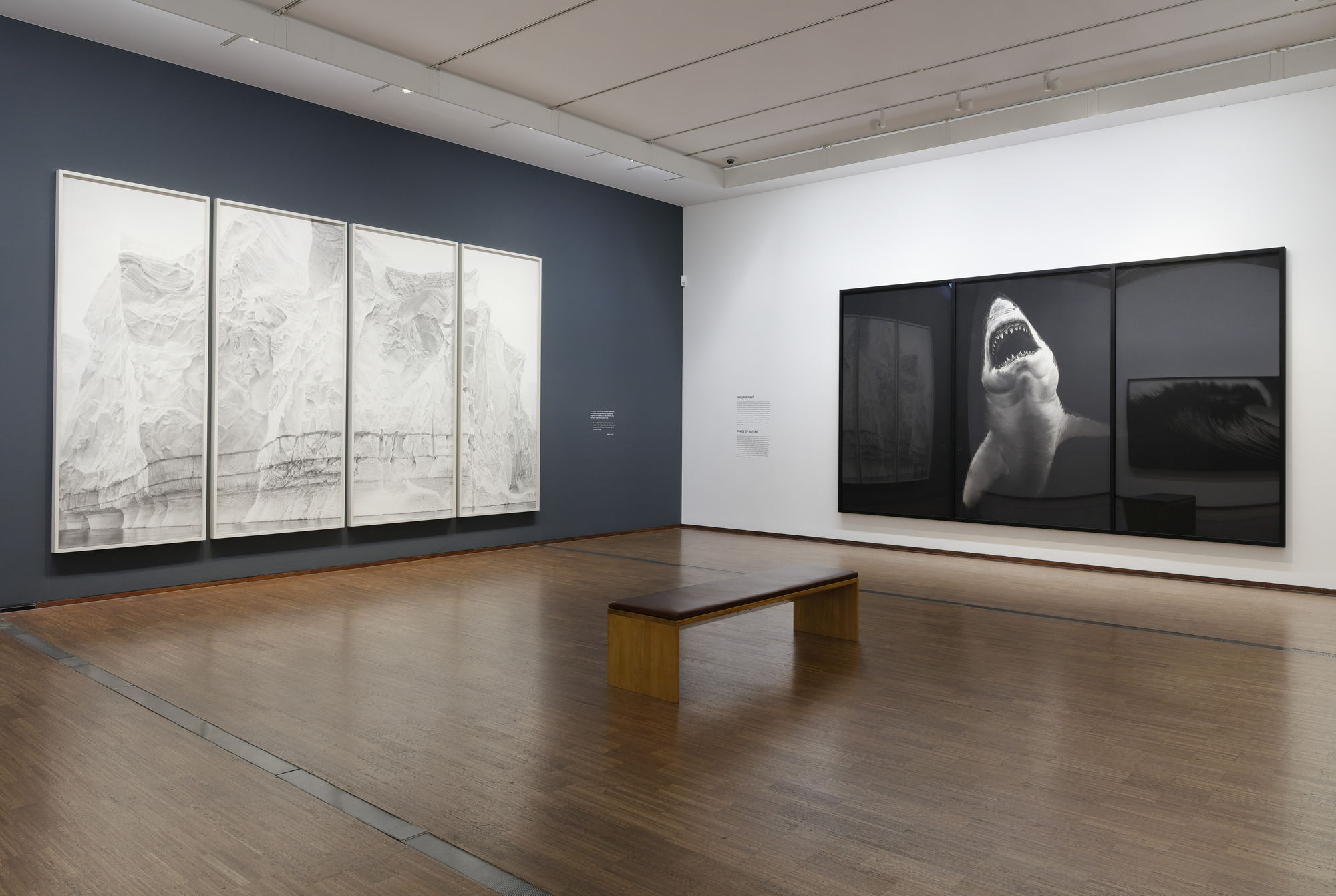 Photo: © The Albertina Museum, Vienna / Rainer Iglar