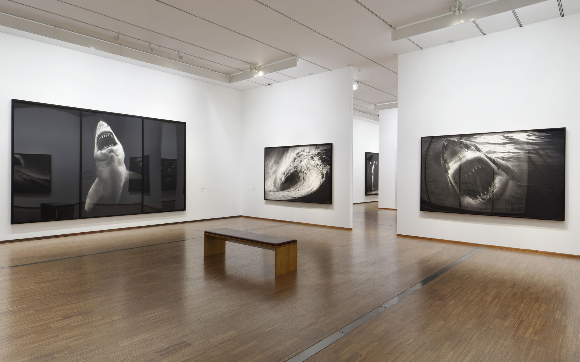 Photo: © The Albertina Museum, Vienna / Rainer Iglar