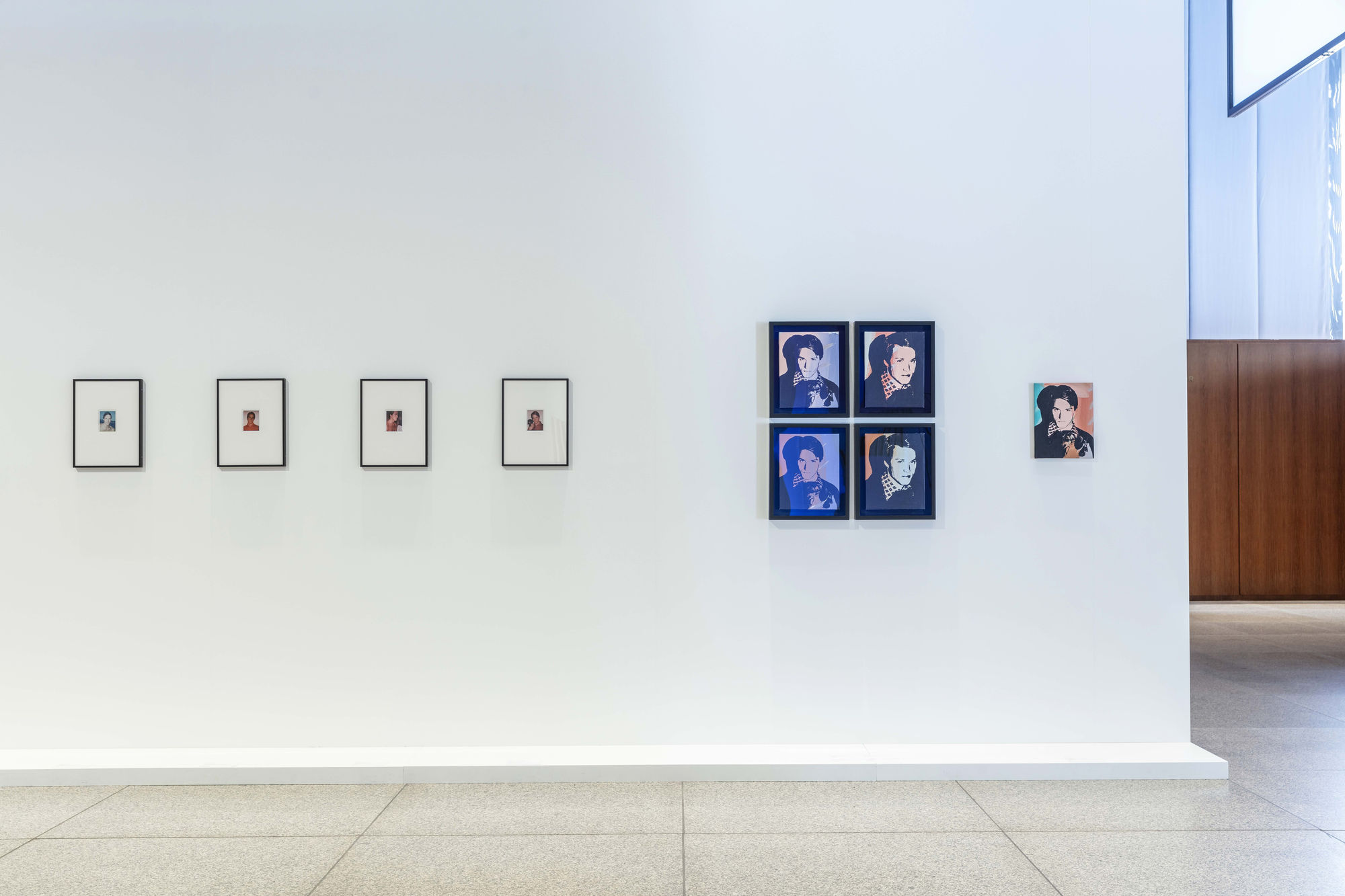 Andy Warhol: Velvet Rage and Beauty