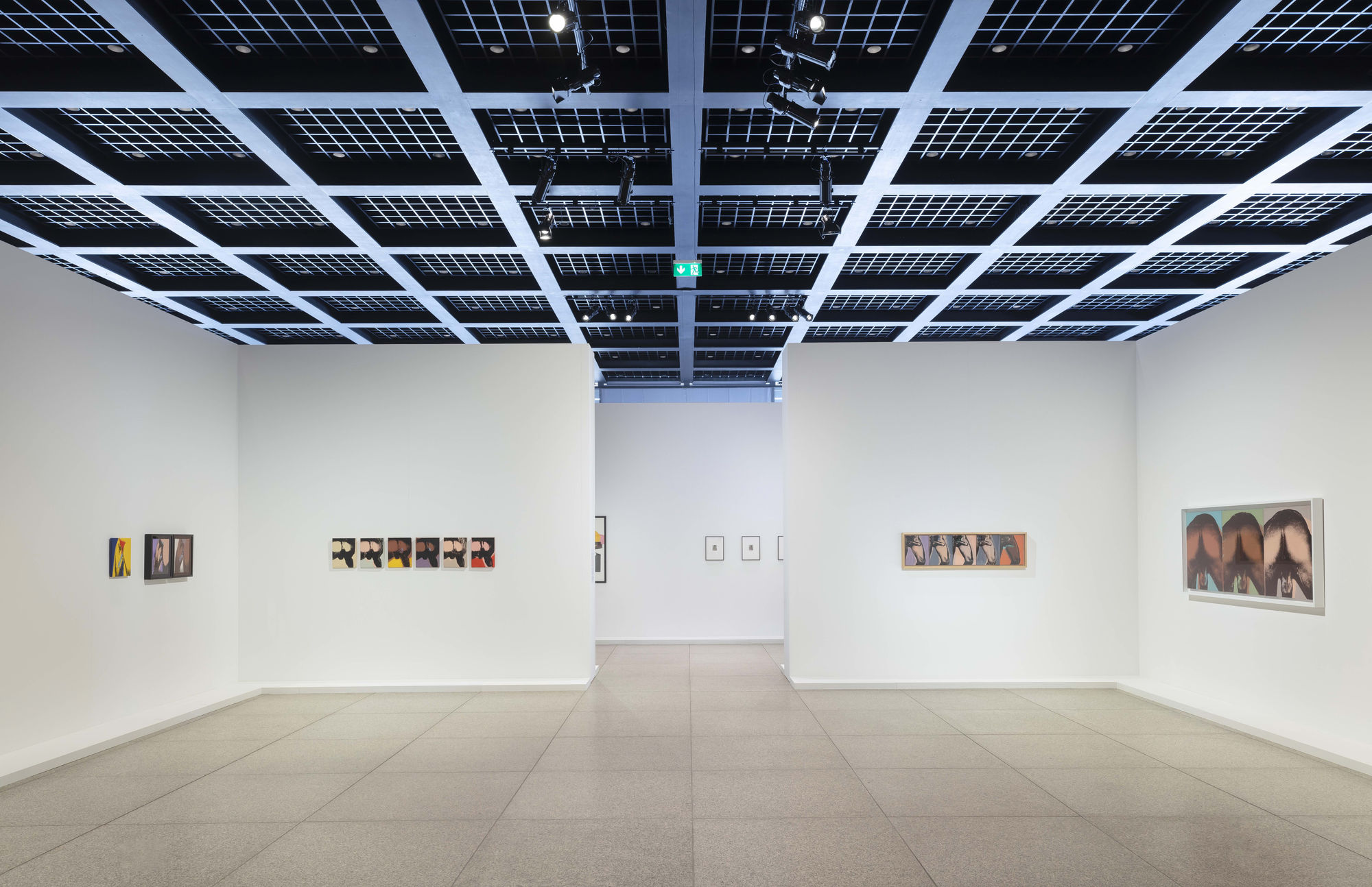 Andy Warhol: Velvet Rage and Beauty