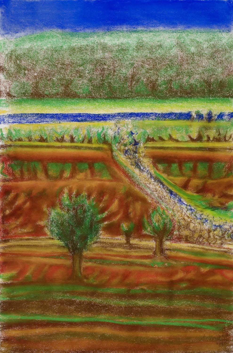Richard Artschwager, Trees and Fields, 2008