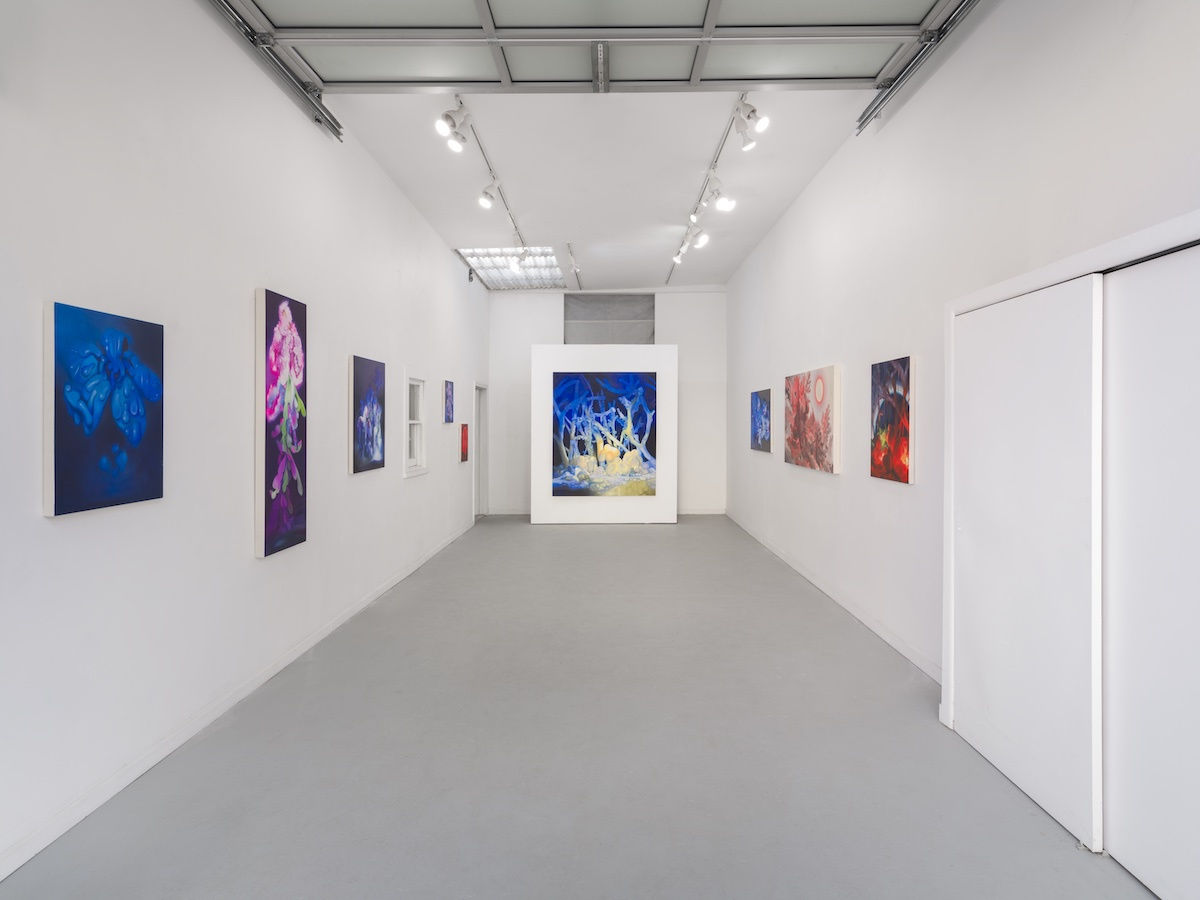 Hannah Antelek: Superseed