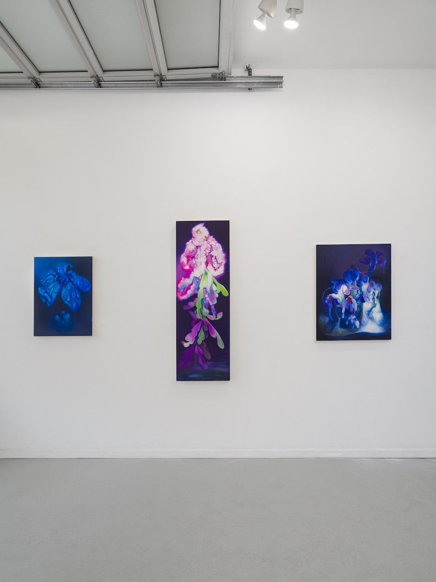 Hannah Antelek: Superseed