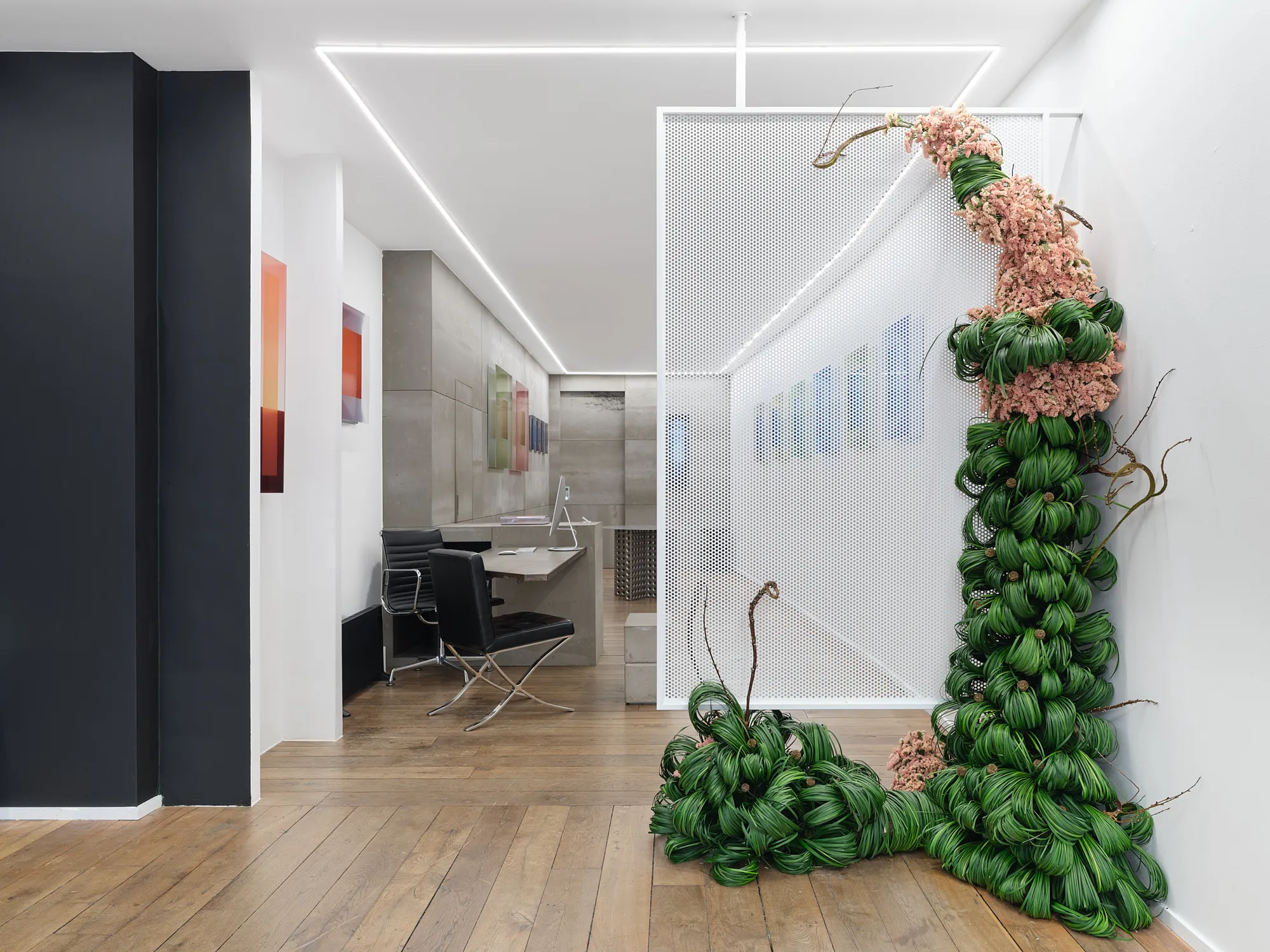 PROJECTION REFLEXION