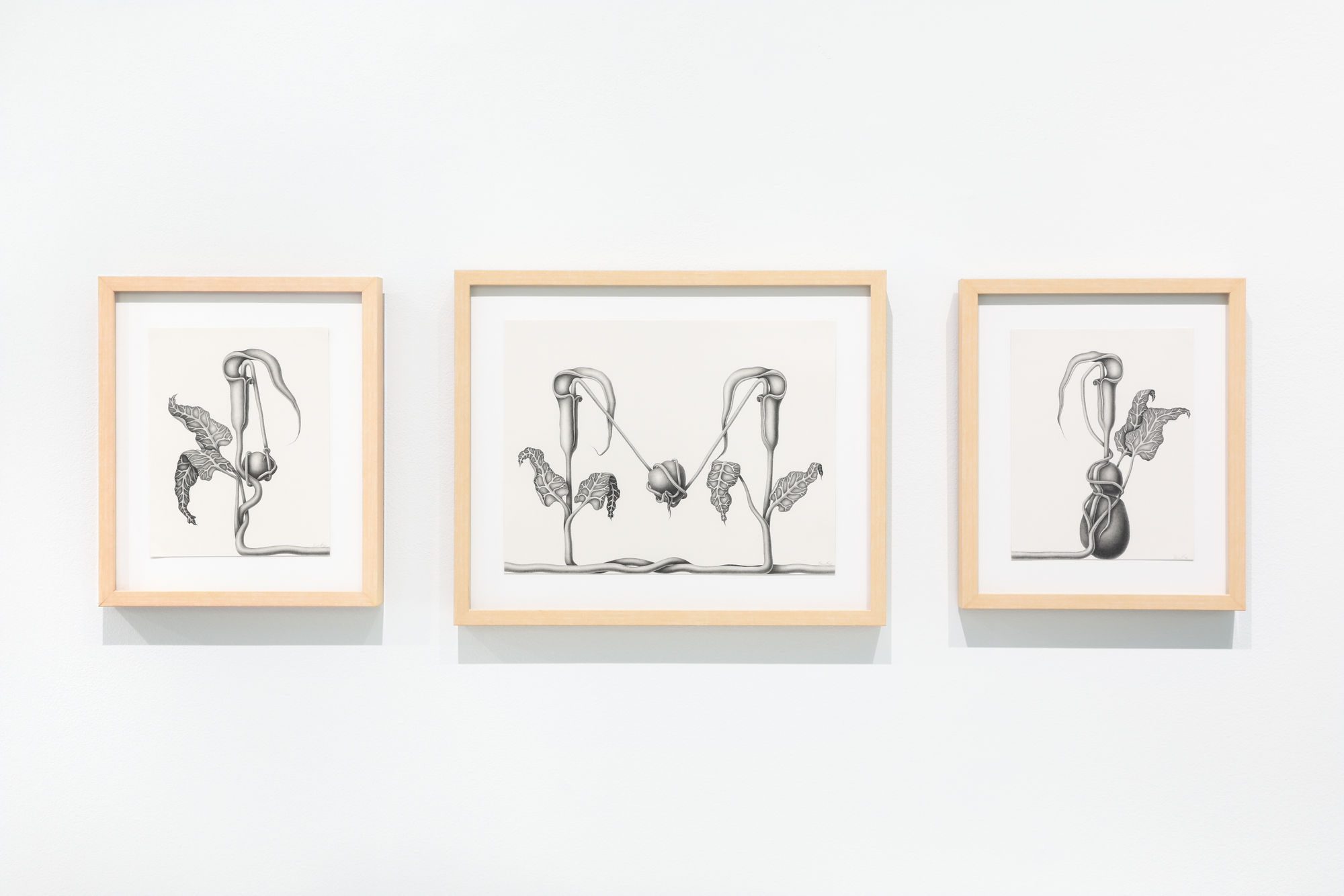 DEVRA FOX: Two in One