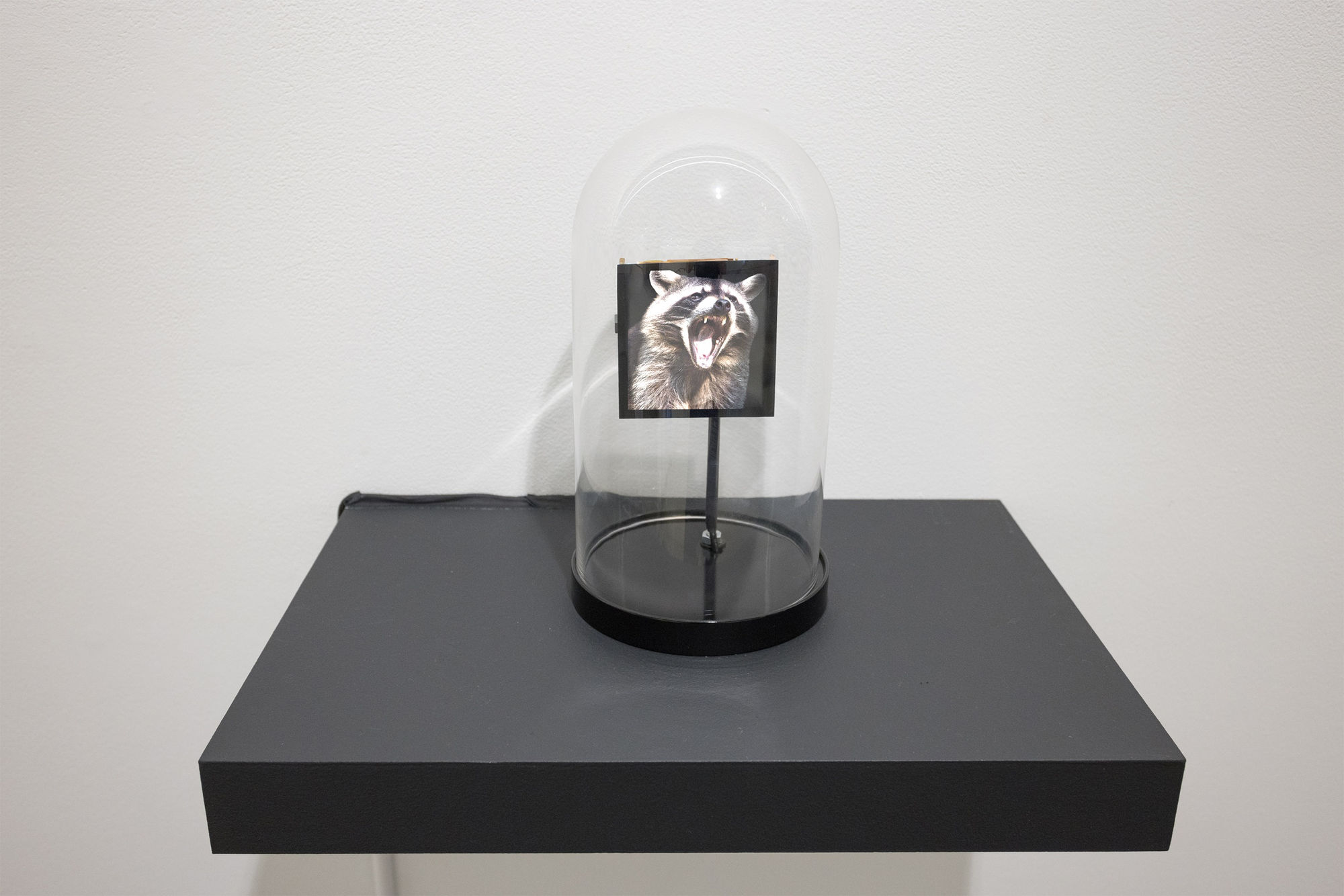 Algorithmically Controlled Video Sculpture