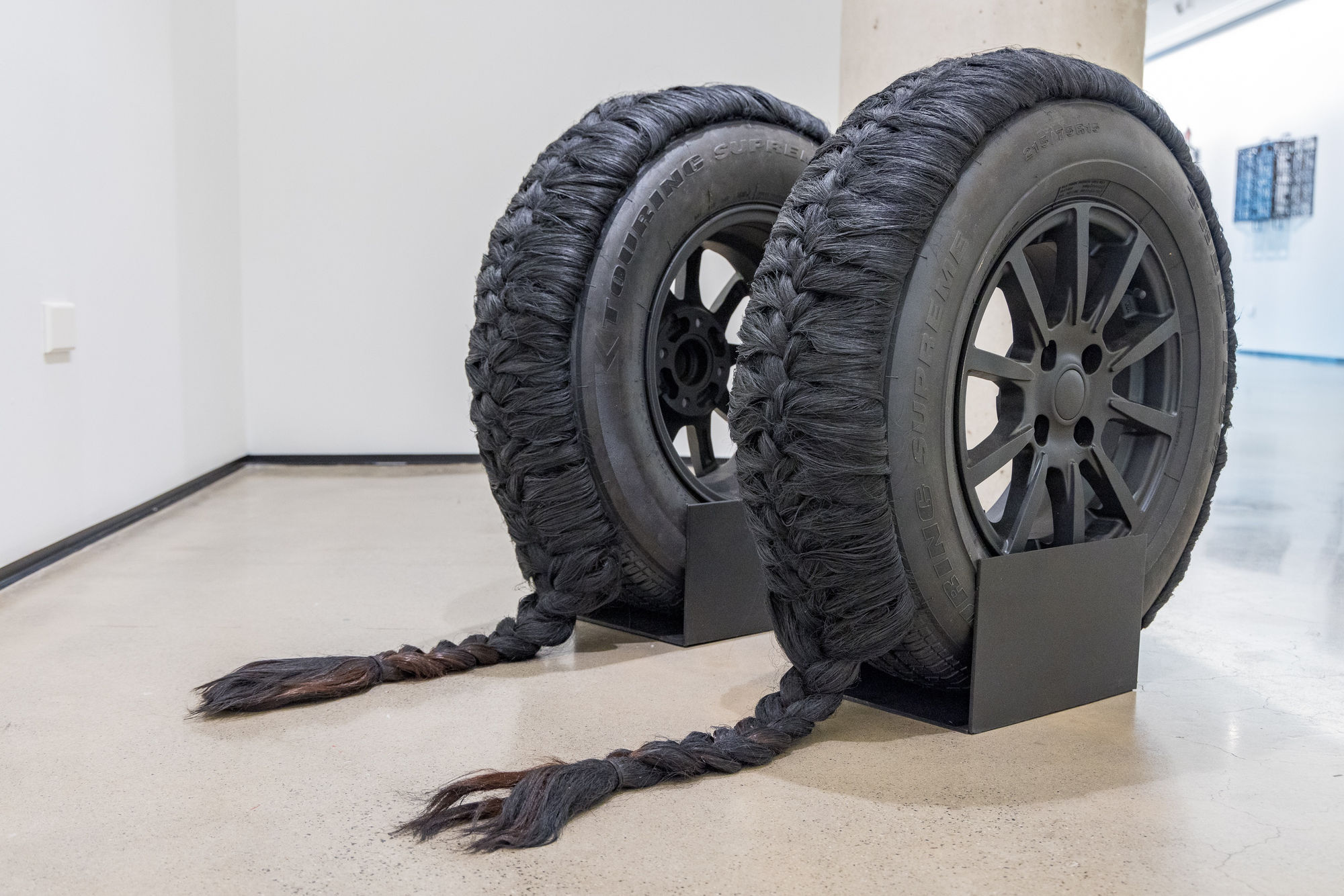 Ancestral Revolution Installation Image