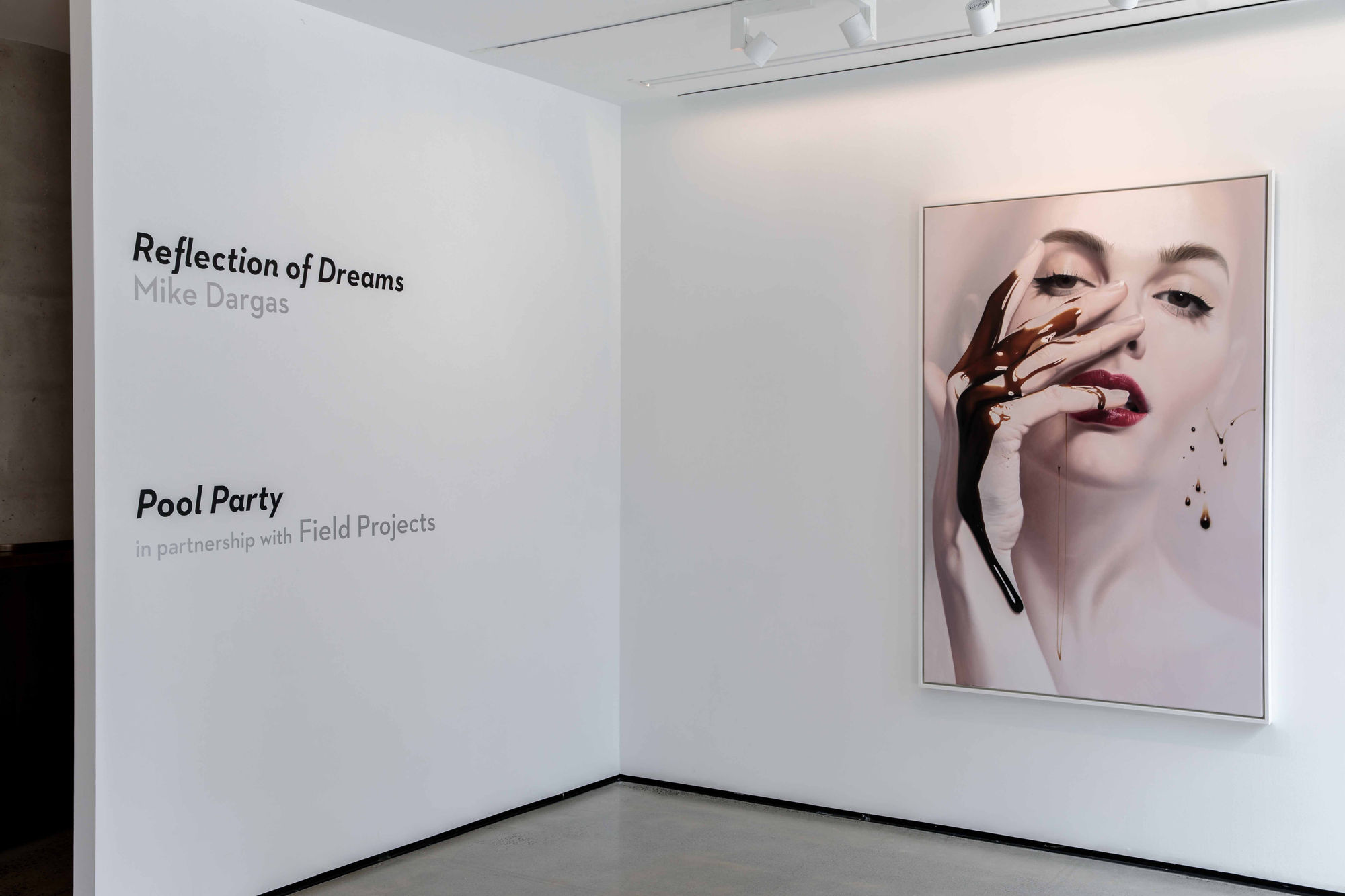 Reflections of Dreams installation