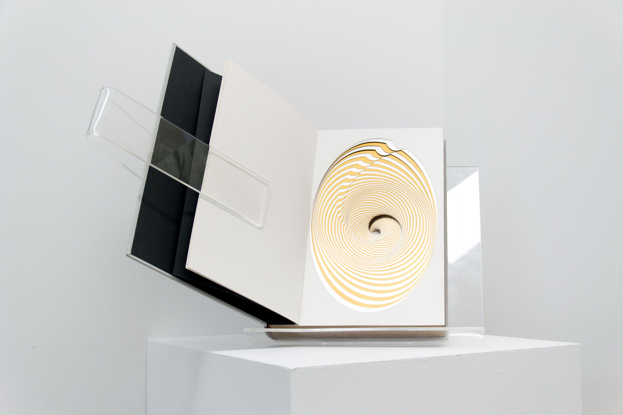 Library Sculpture, 2018 100 pages, metallic paint on 250 gr bristol paper cut-out