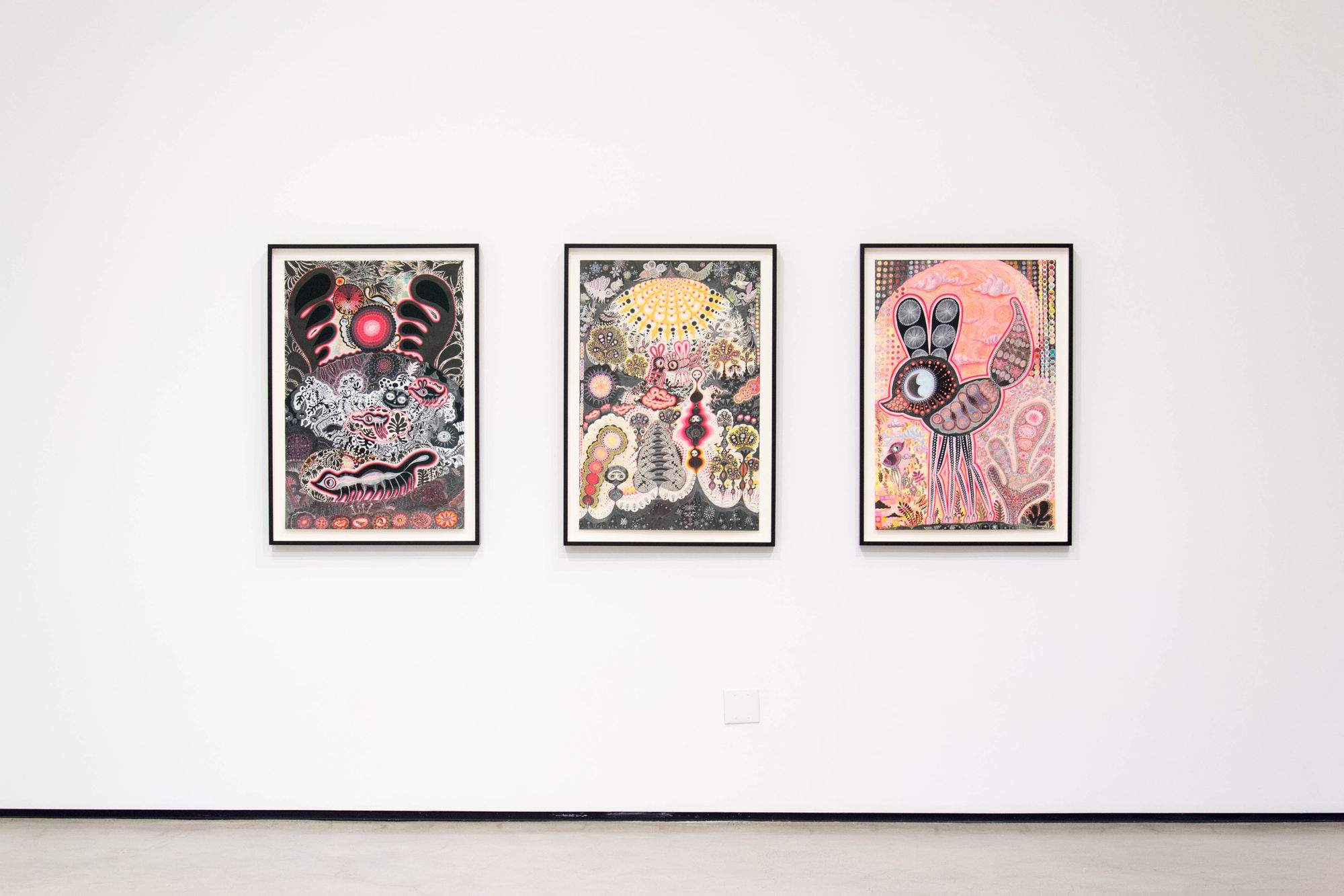 Transfigured installation