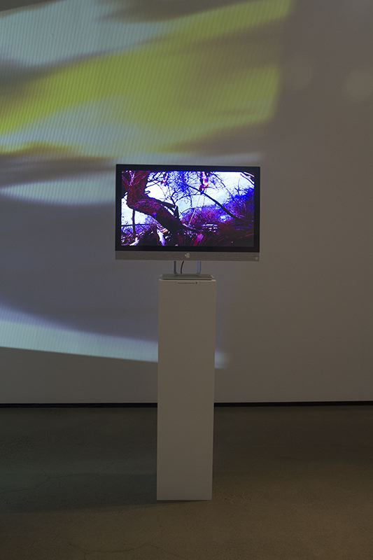 Humans are too expensive but their behavior is priceless, 2018 360 degree spherical video collage, touch screen Touch screen: 27", Video: 360 degrees