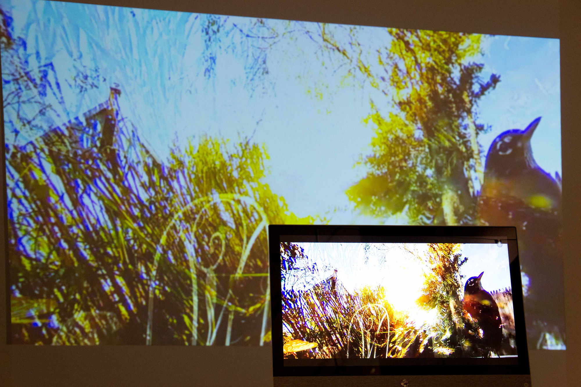 Imitating Nature Without Pity, 2018 360 degree spherical video collage, touch screen Touch screen: 27", Video: 360 degrees