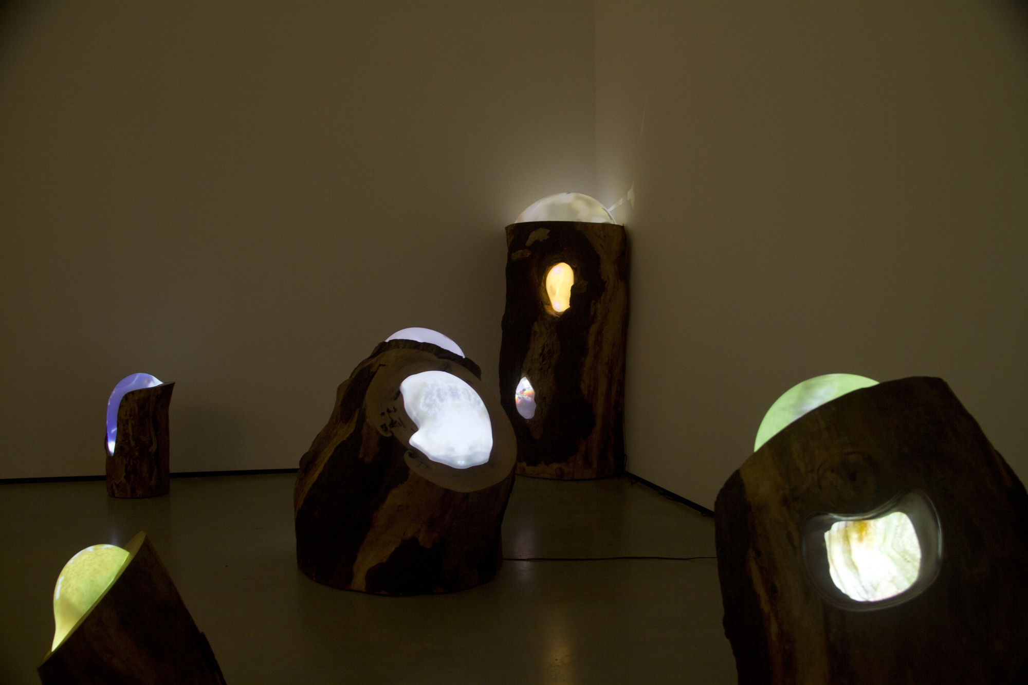 Vuela Vuela installation