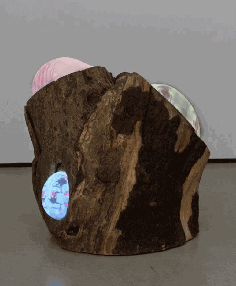 ELMTREE 3, 2016 Gray Elm Tree stump with 3 videobubbles, 3-channel video composition with sound, 7:20min, looped, video projectors embedded in found tree stump, on/off switch and sound control