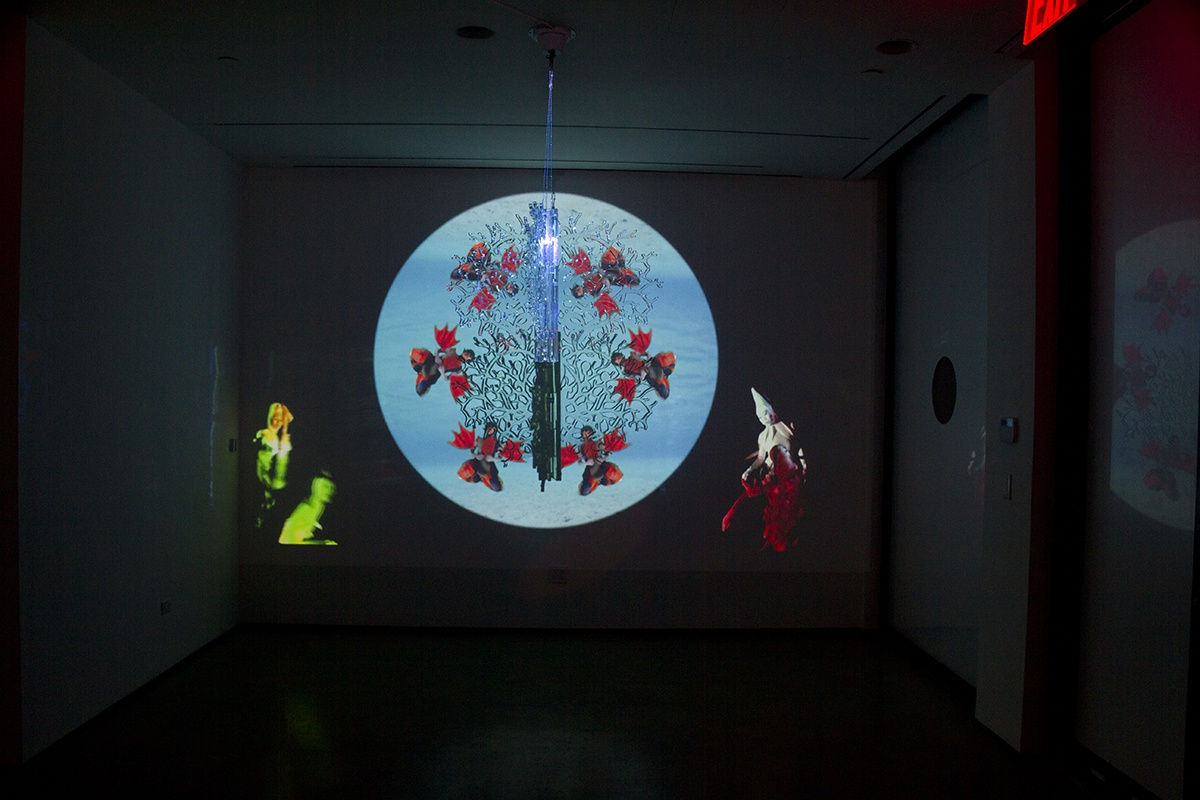 Vuela Vuela installation