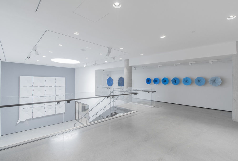 Hypochondriac installation